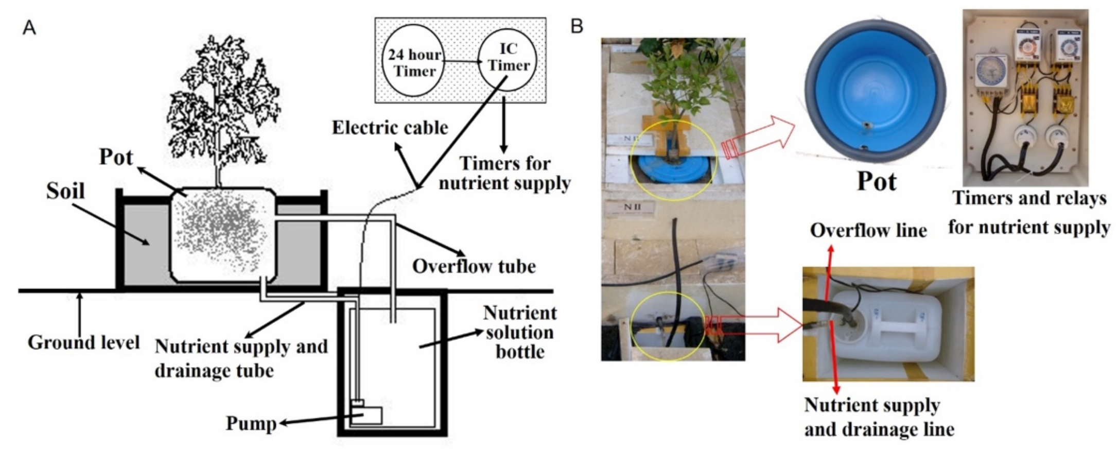 Plants 11 02351 g007