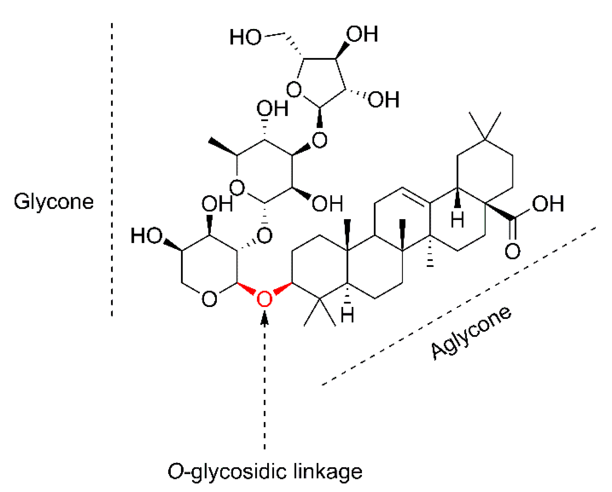 Plants 11 02355 g001