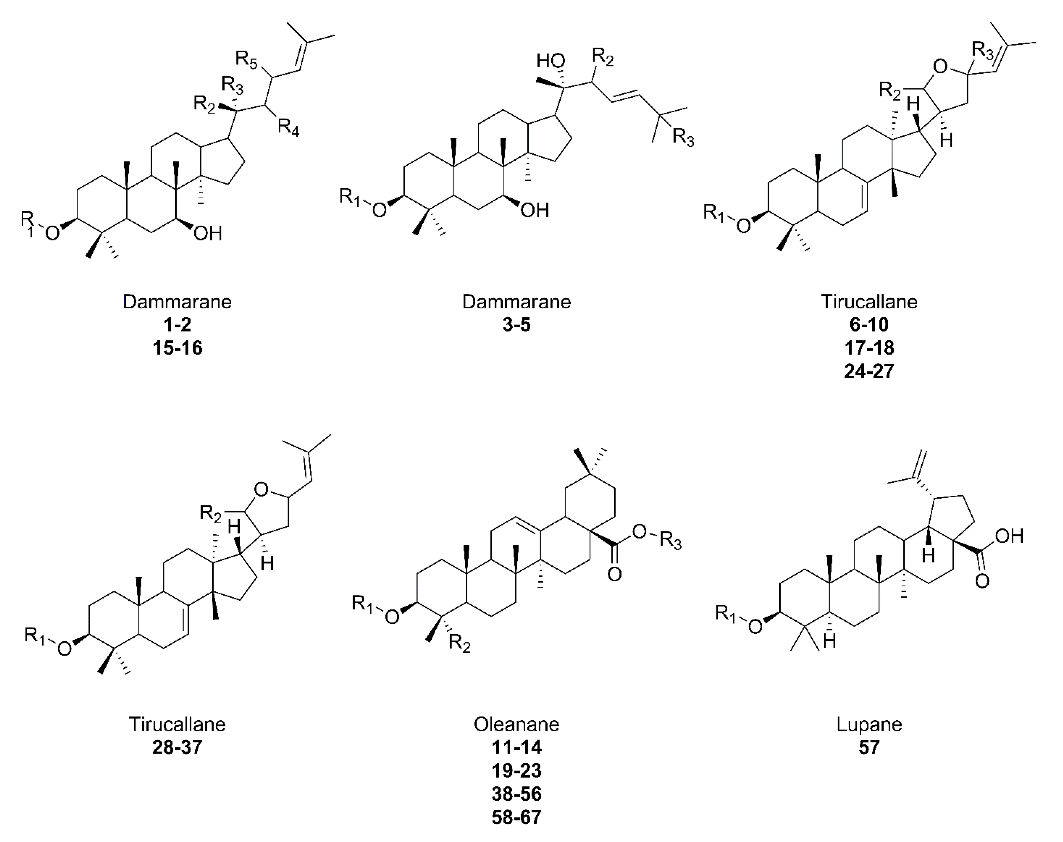 Plants 11 02355 g003
