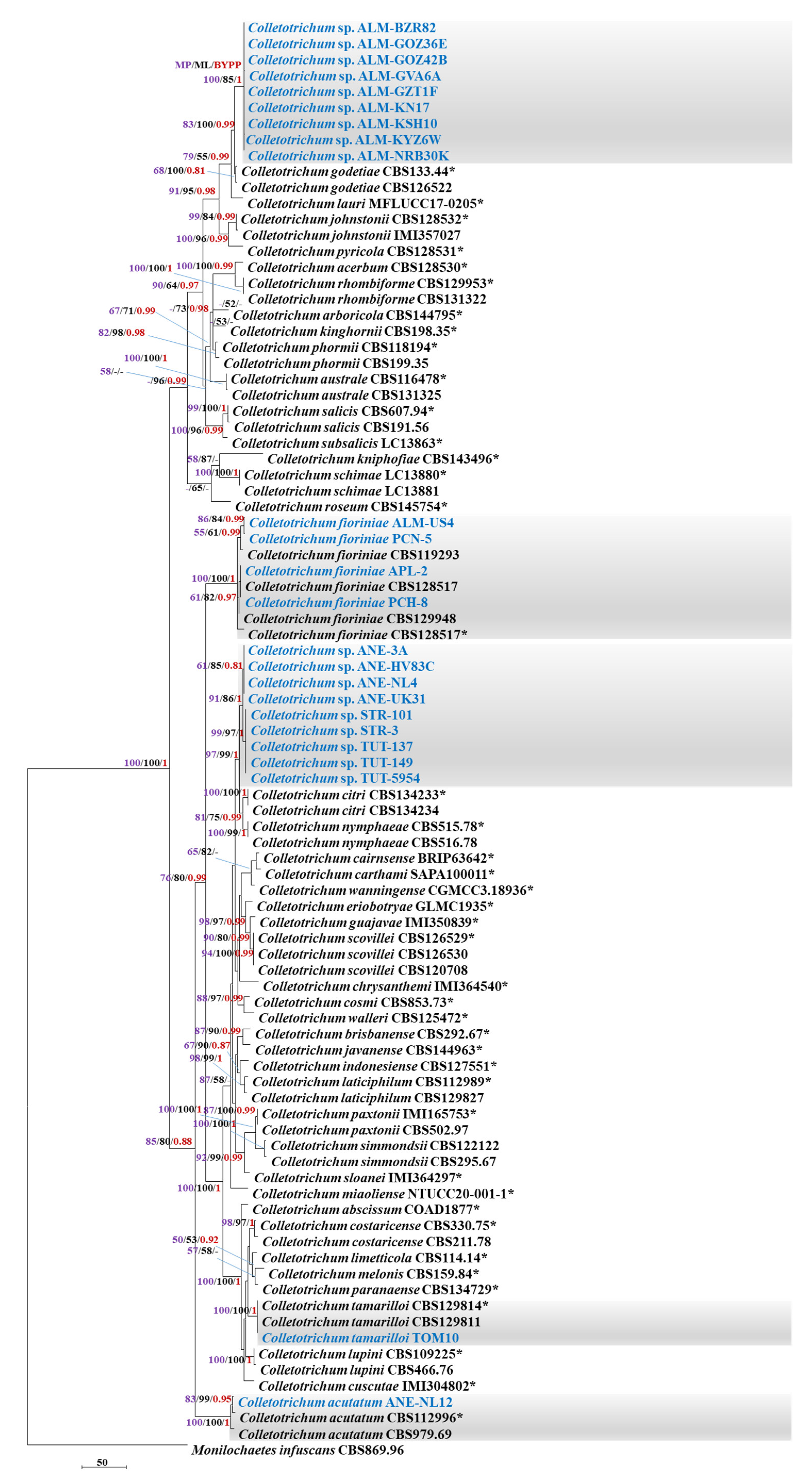 Plants 11 02373 g001 Plants 11 02373 g001