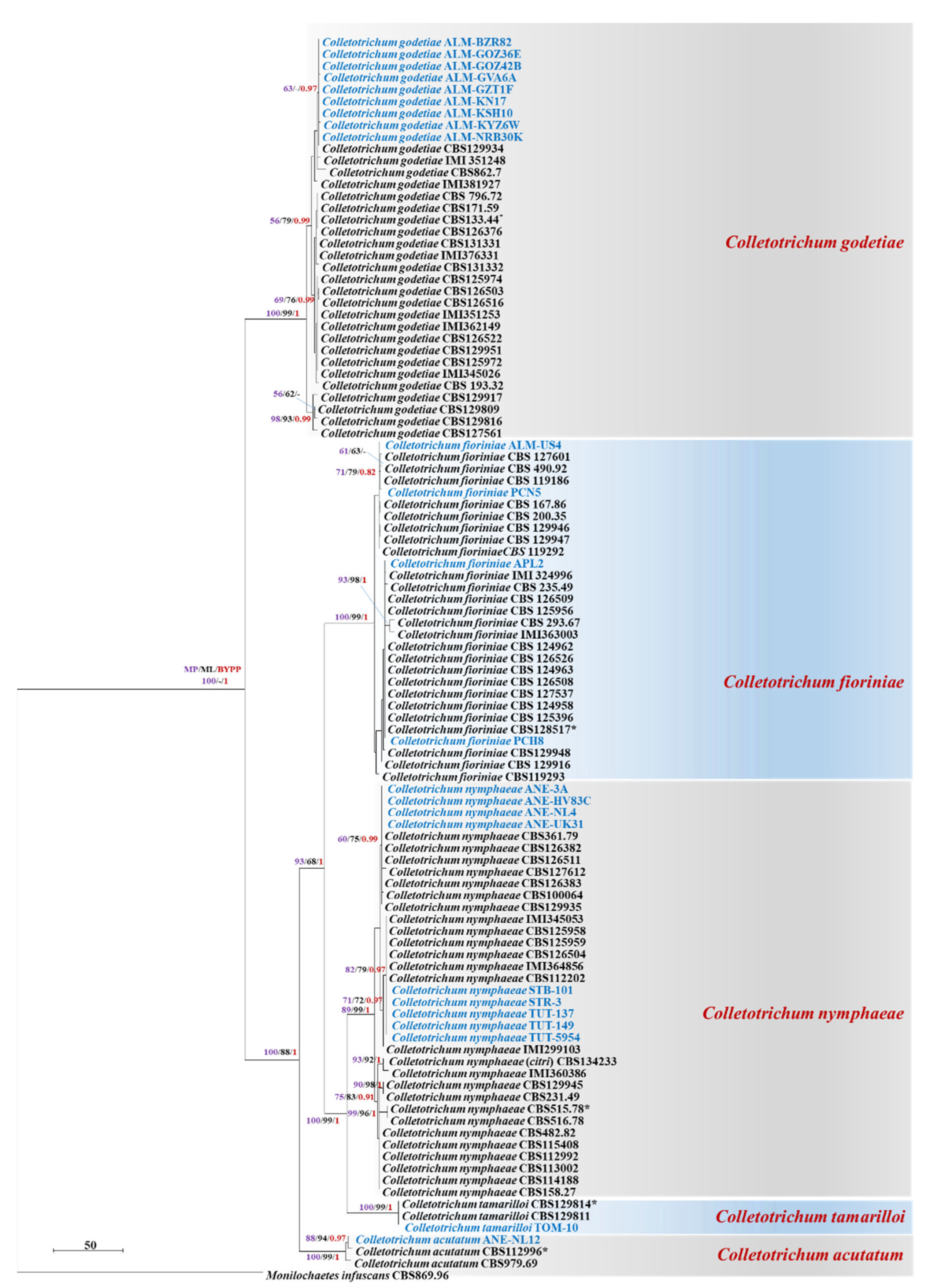 Plants 11 02373 g002 Plants 11 02373 g002