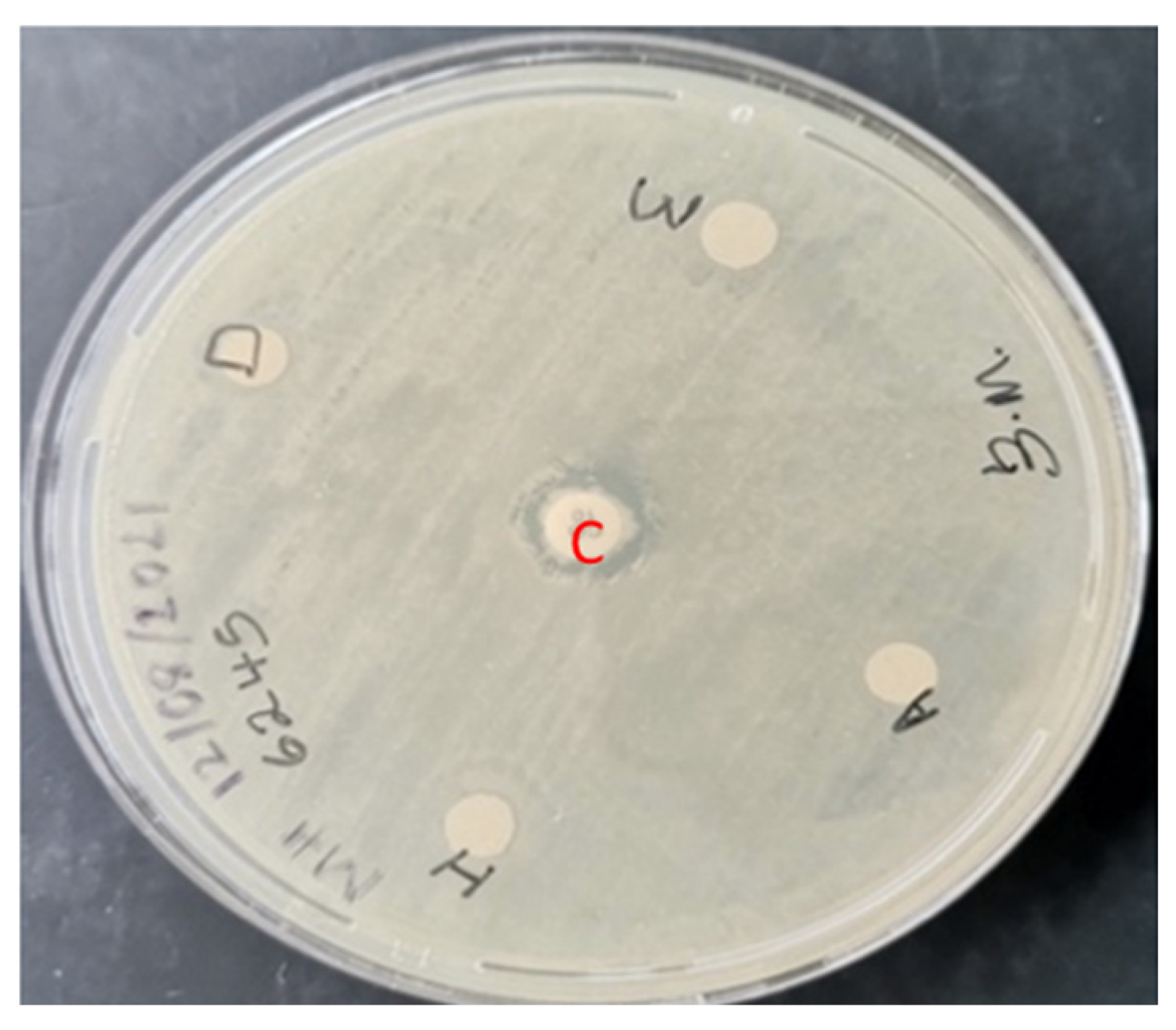 Plants 11 02374 g001