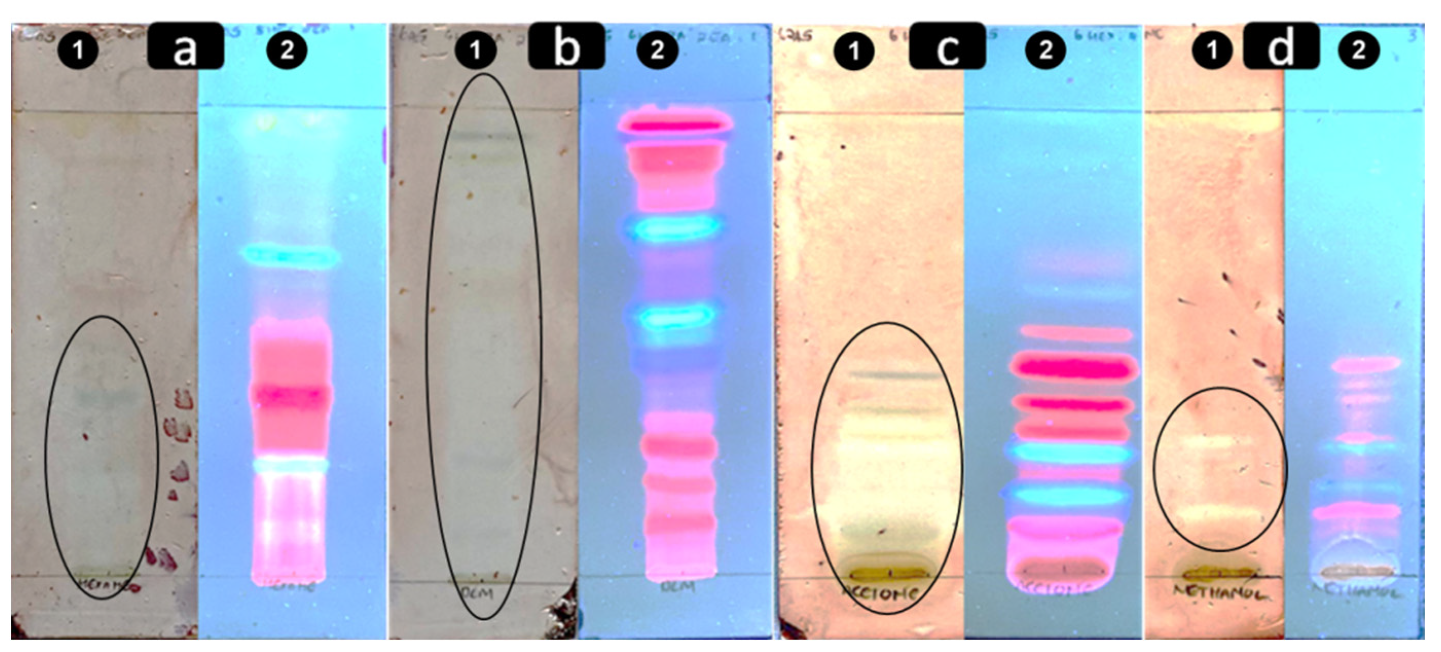 Plants 11 02374 g002