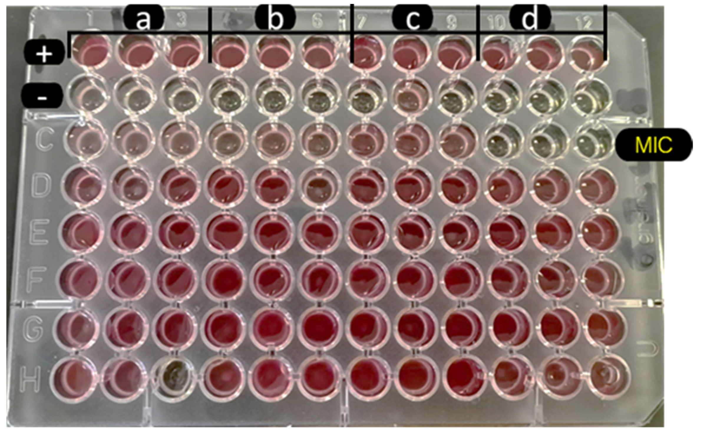 Plants 11 02374 g003