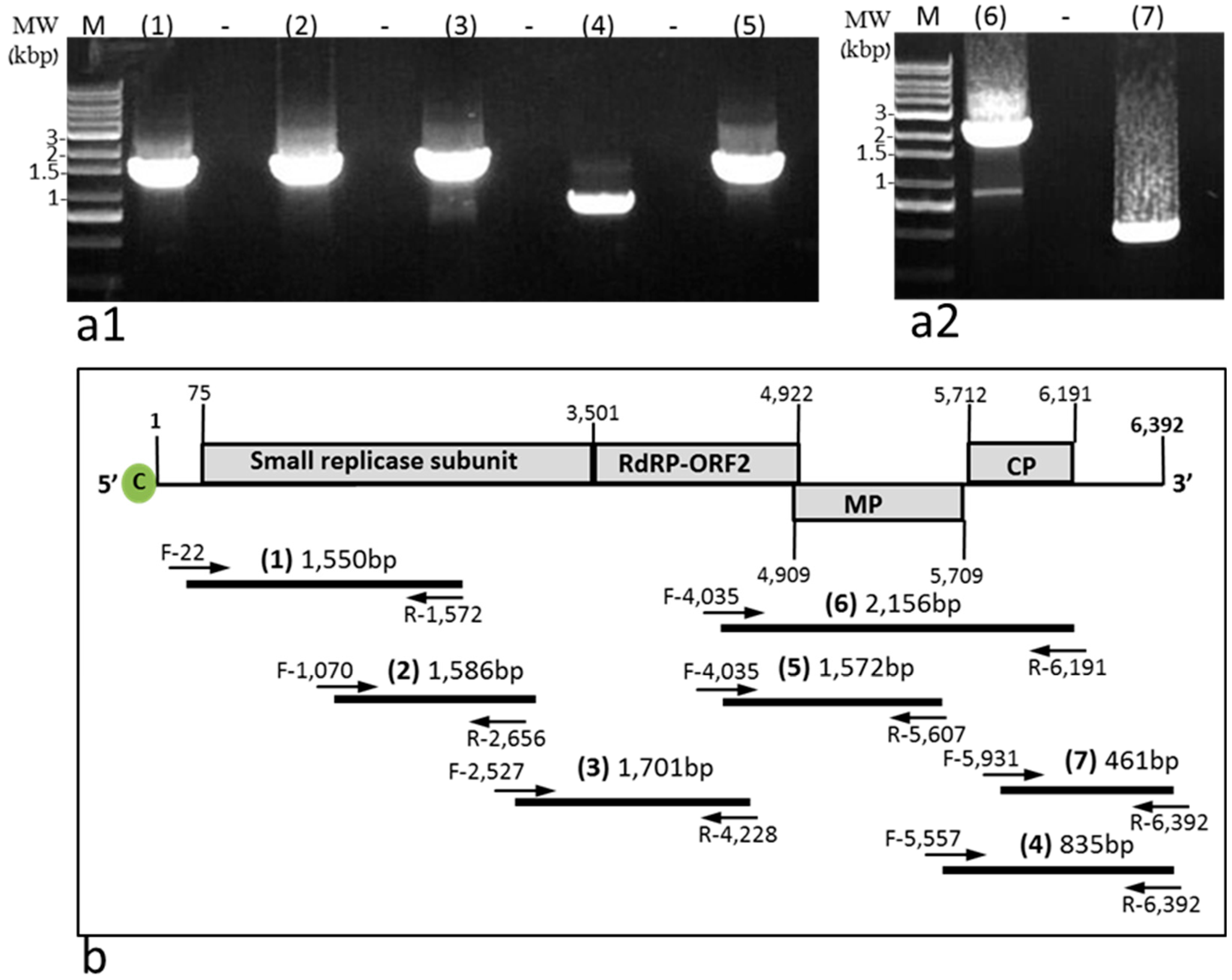 Plants 11 02378 g006