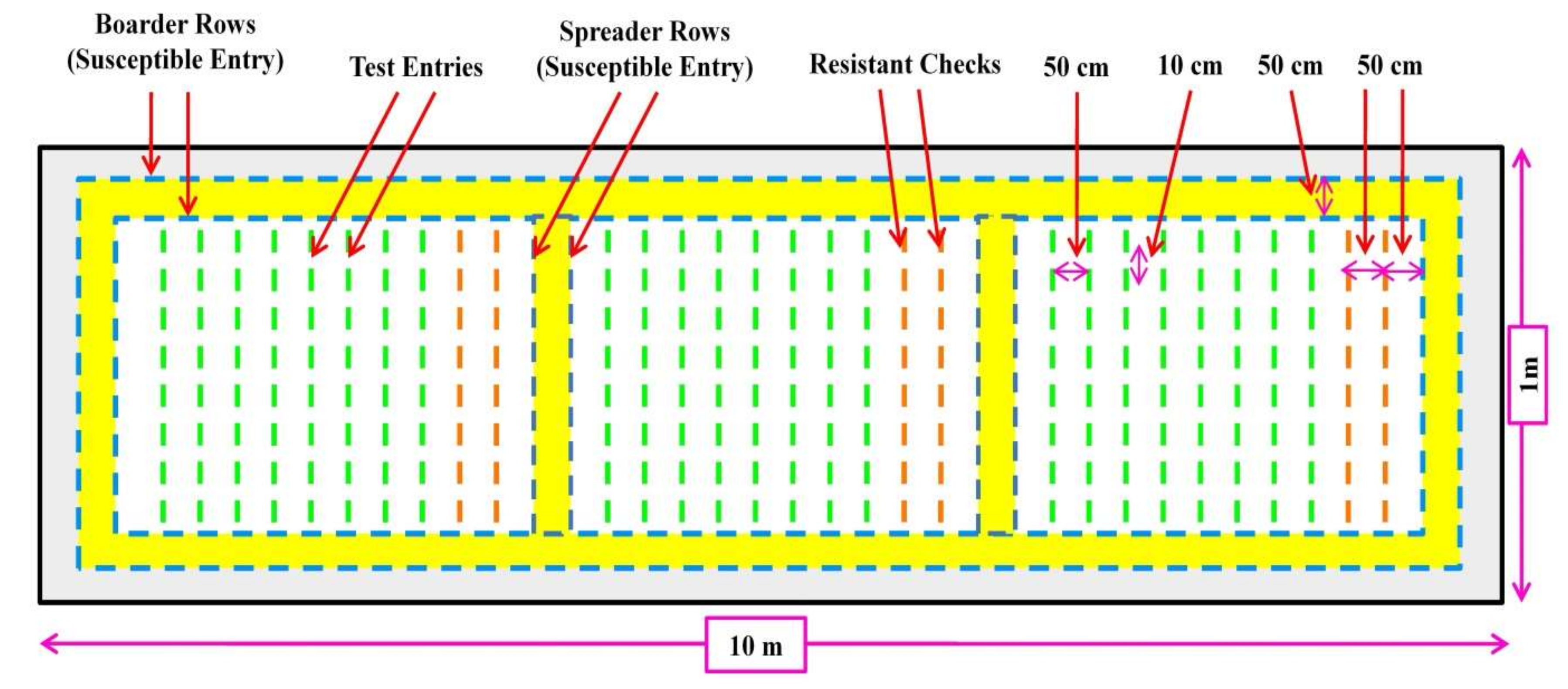 Plants 11 02386 g003