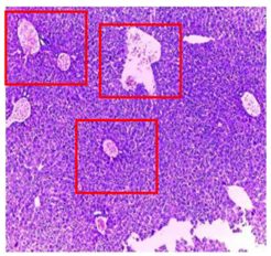 Plants 11 02389 i002