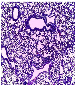 Plants 11 02389 i007