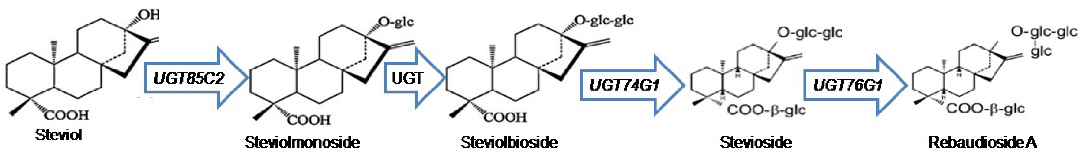 Plants 11 02393 g001