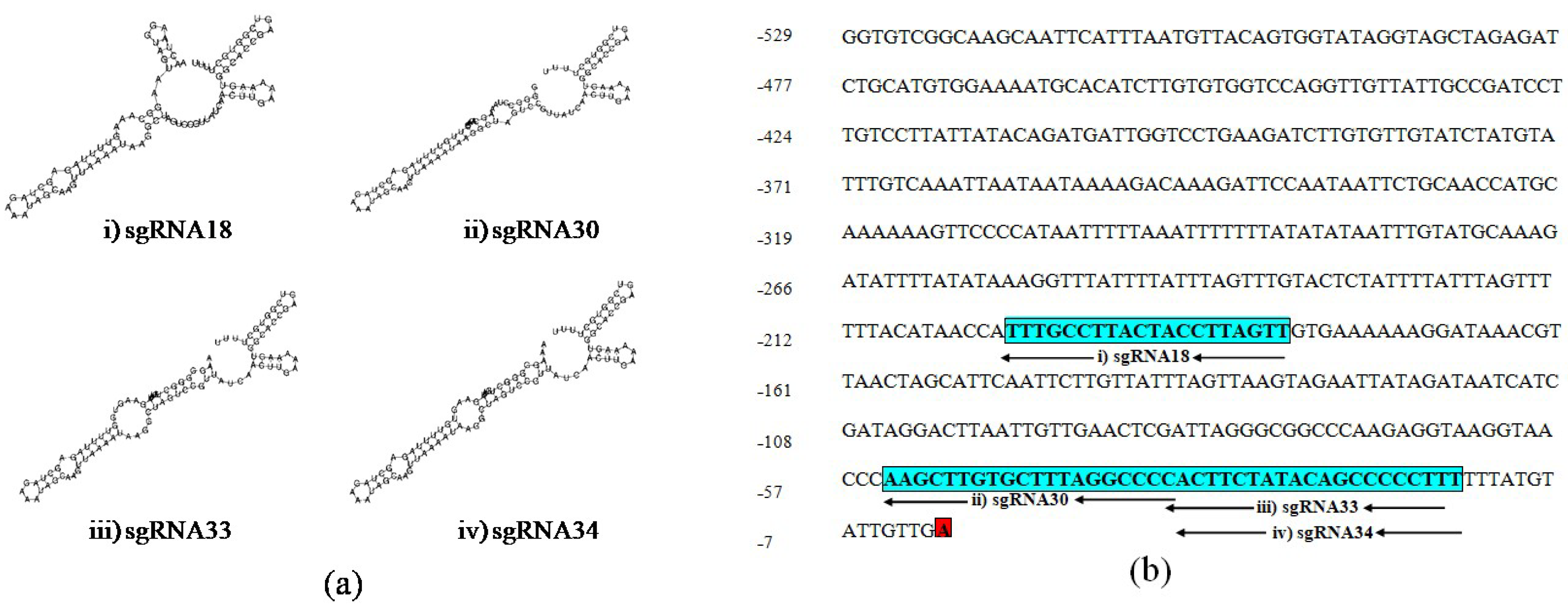 Plants 11 02393 g002