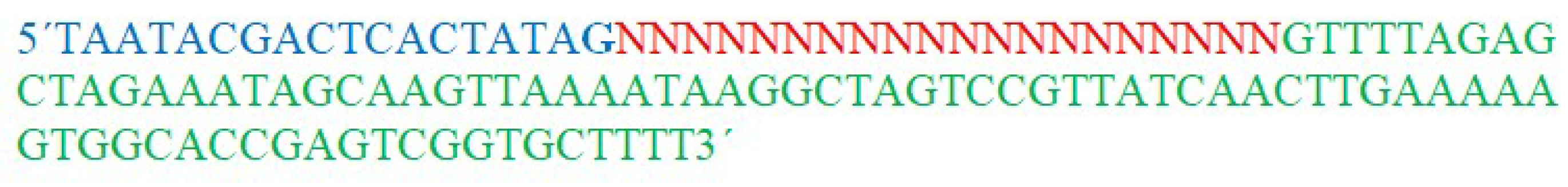 Plants 11 02393 g005