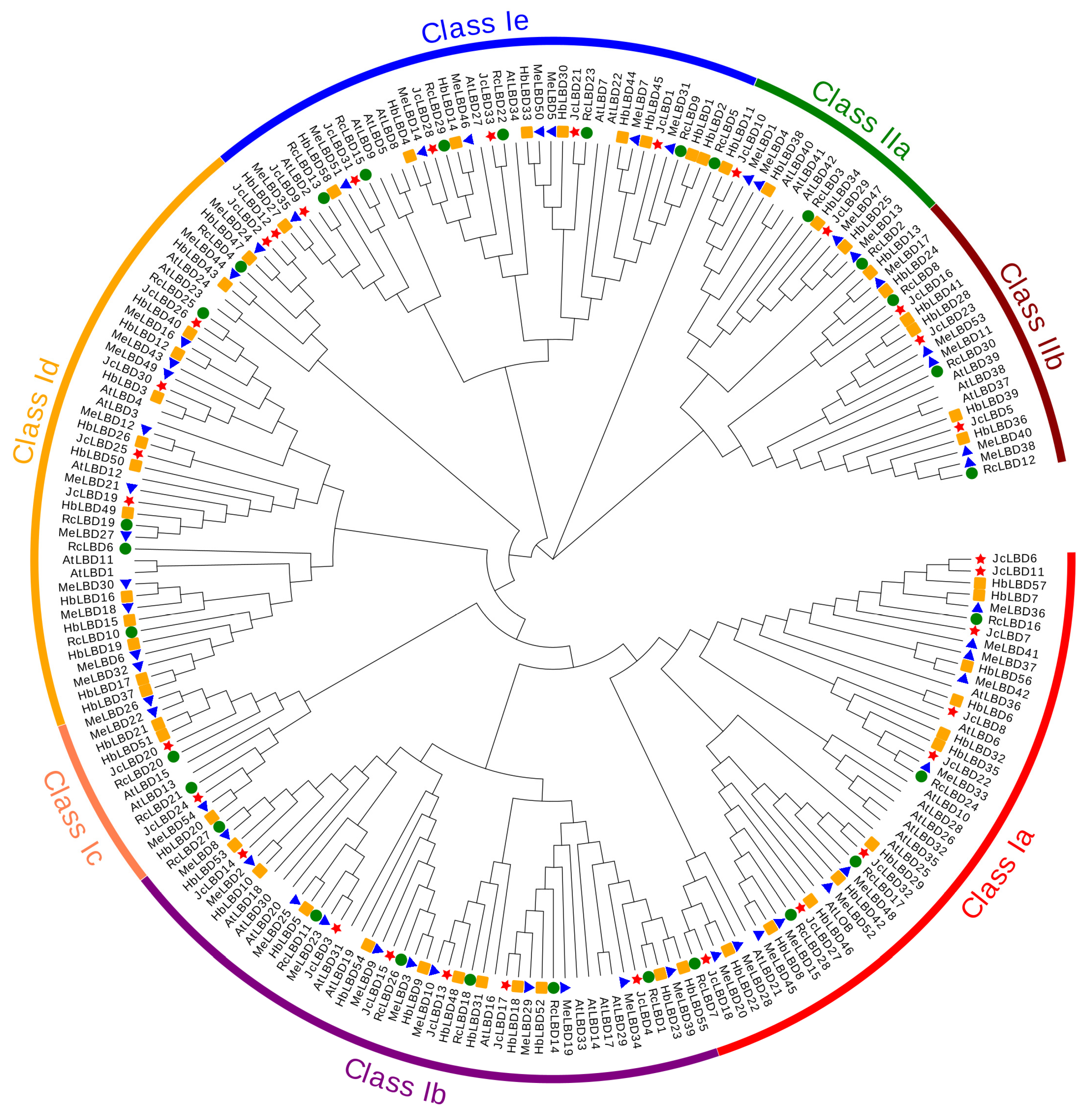 Plants 11 02397 g001 Plants 11 02397 g001