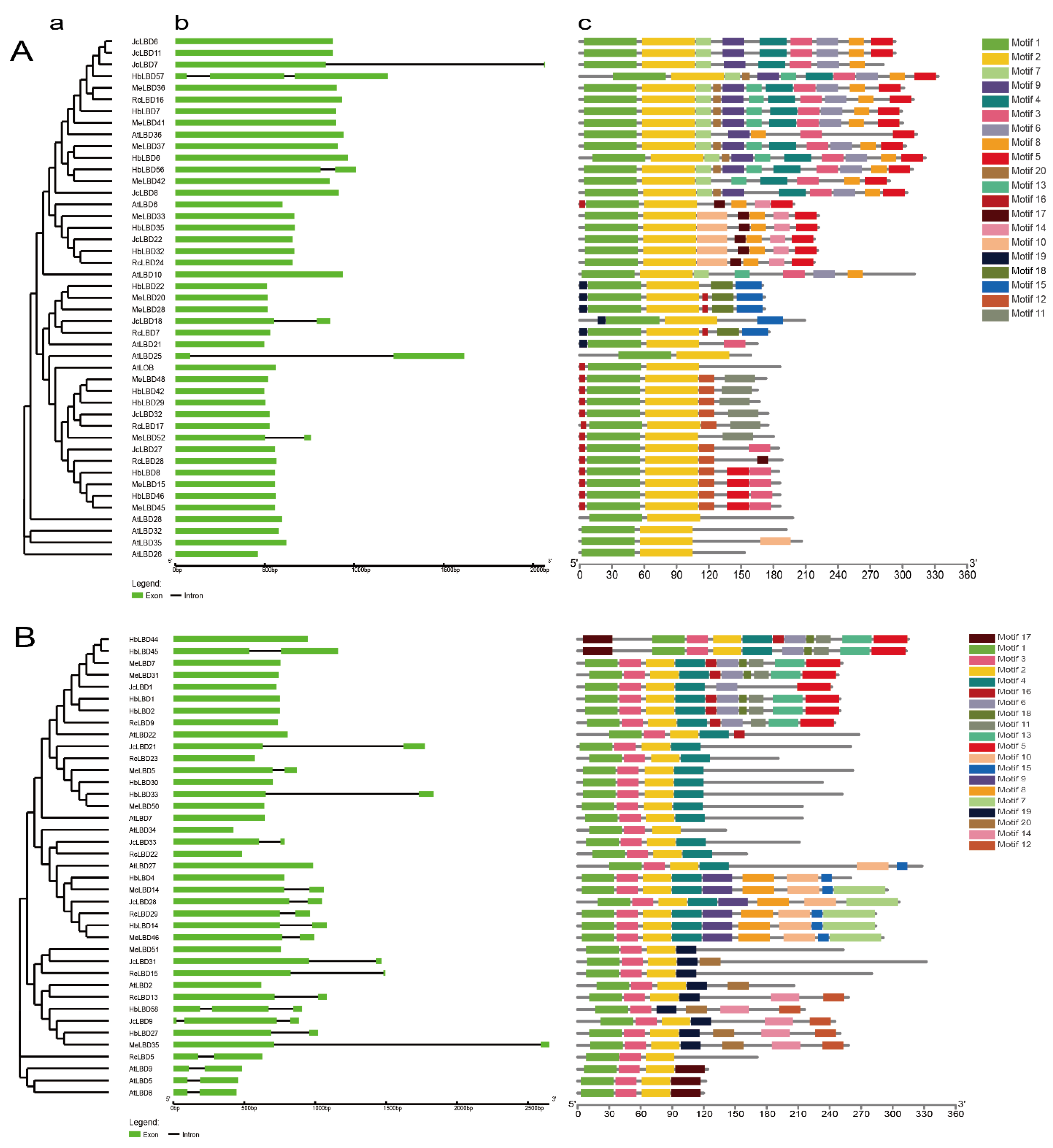 Plants 11 02397 g002 Plants 11 02397 g002