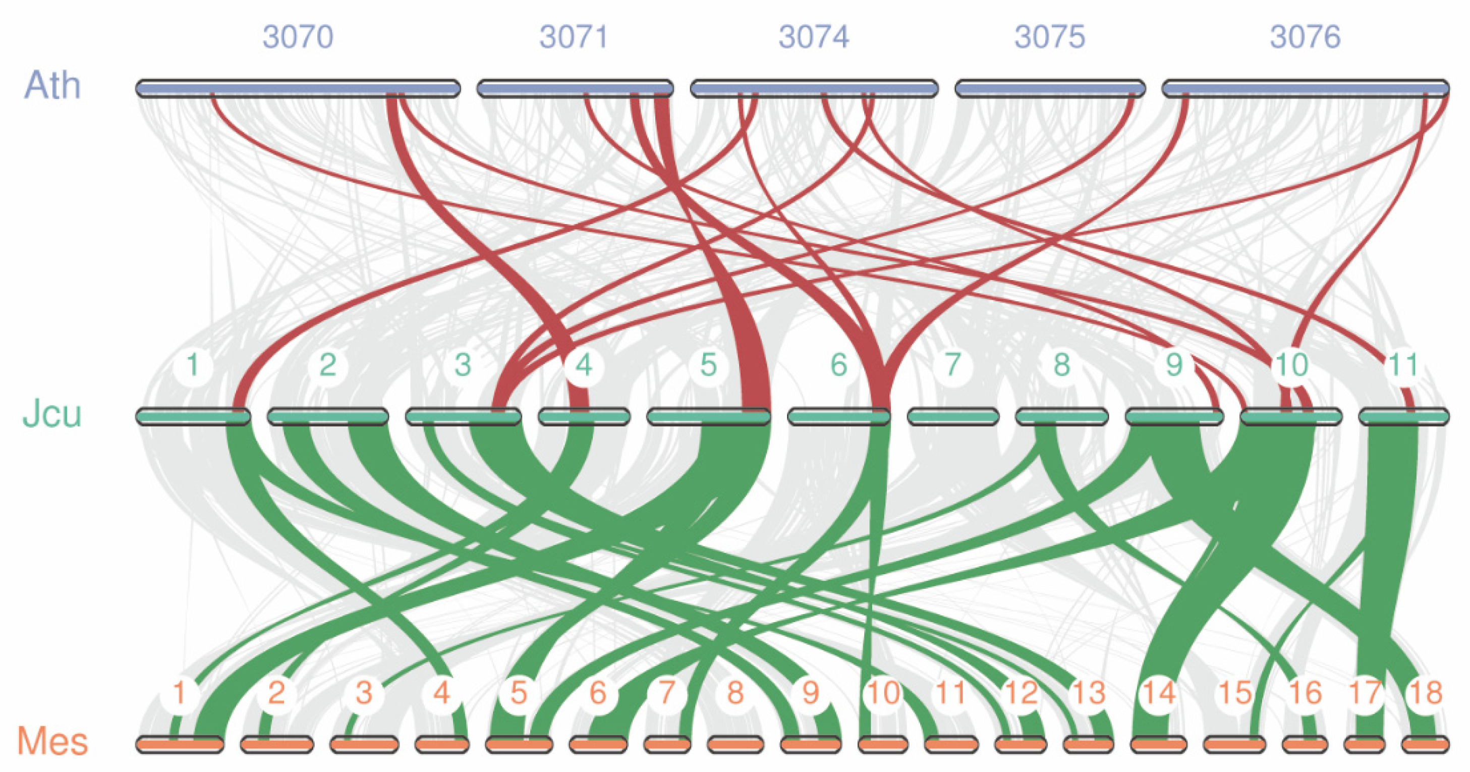 Plants 11 02397 g006 Plants 11 02397 g006