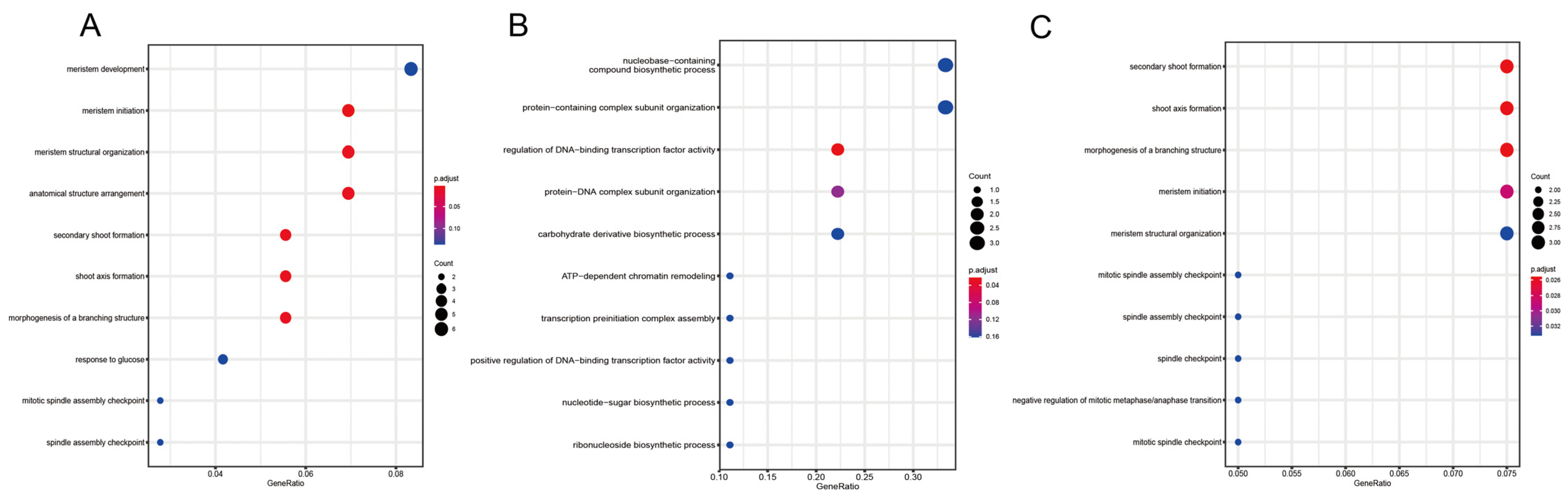 Plants 11 02397 g009 Plants 11 02397 g009