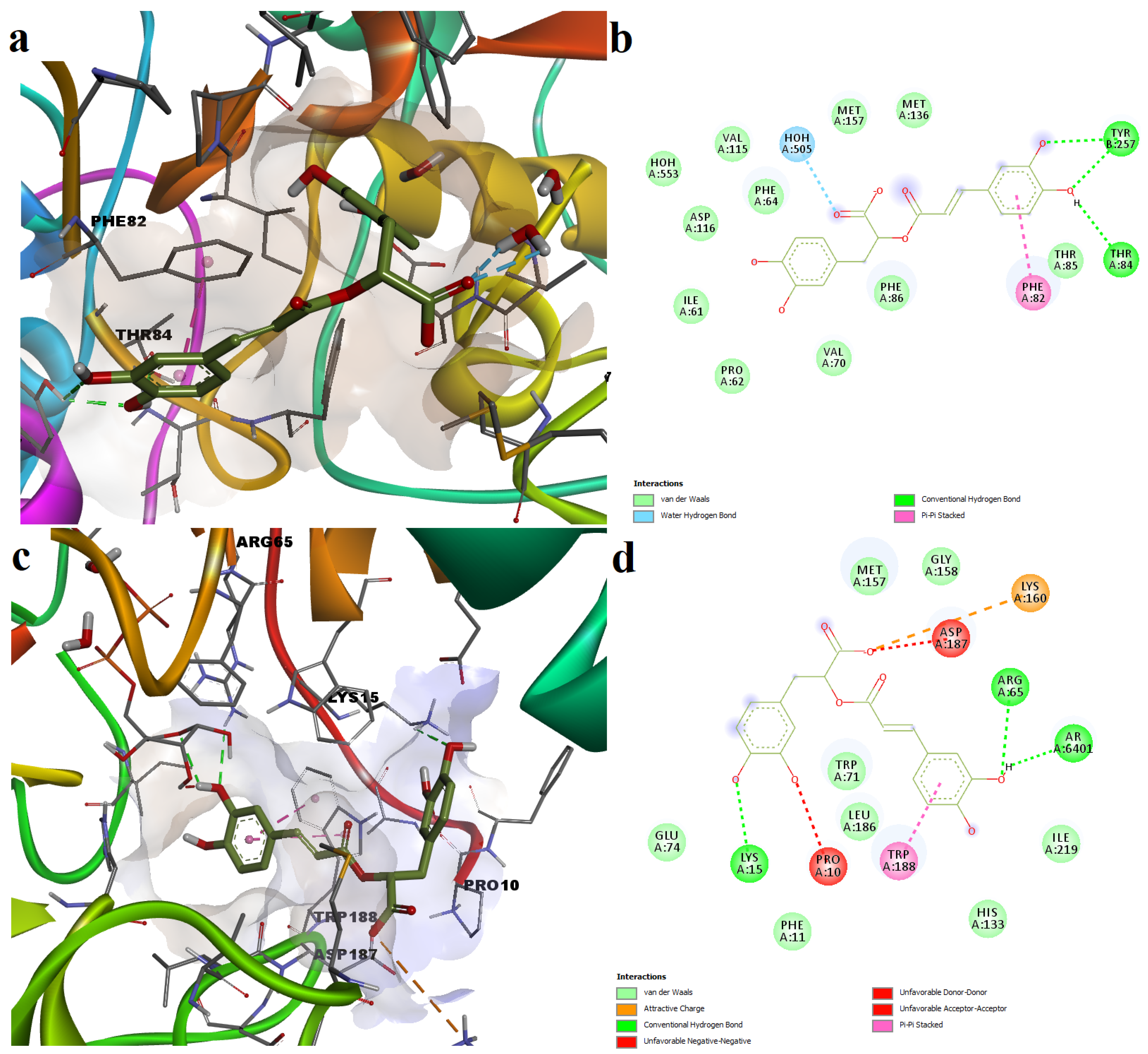 Plants 11 02398 g004