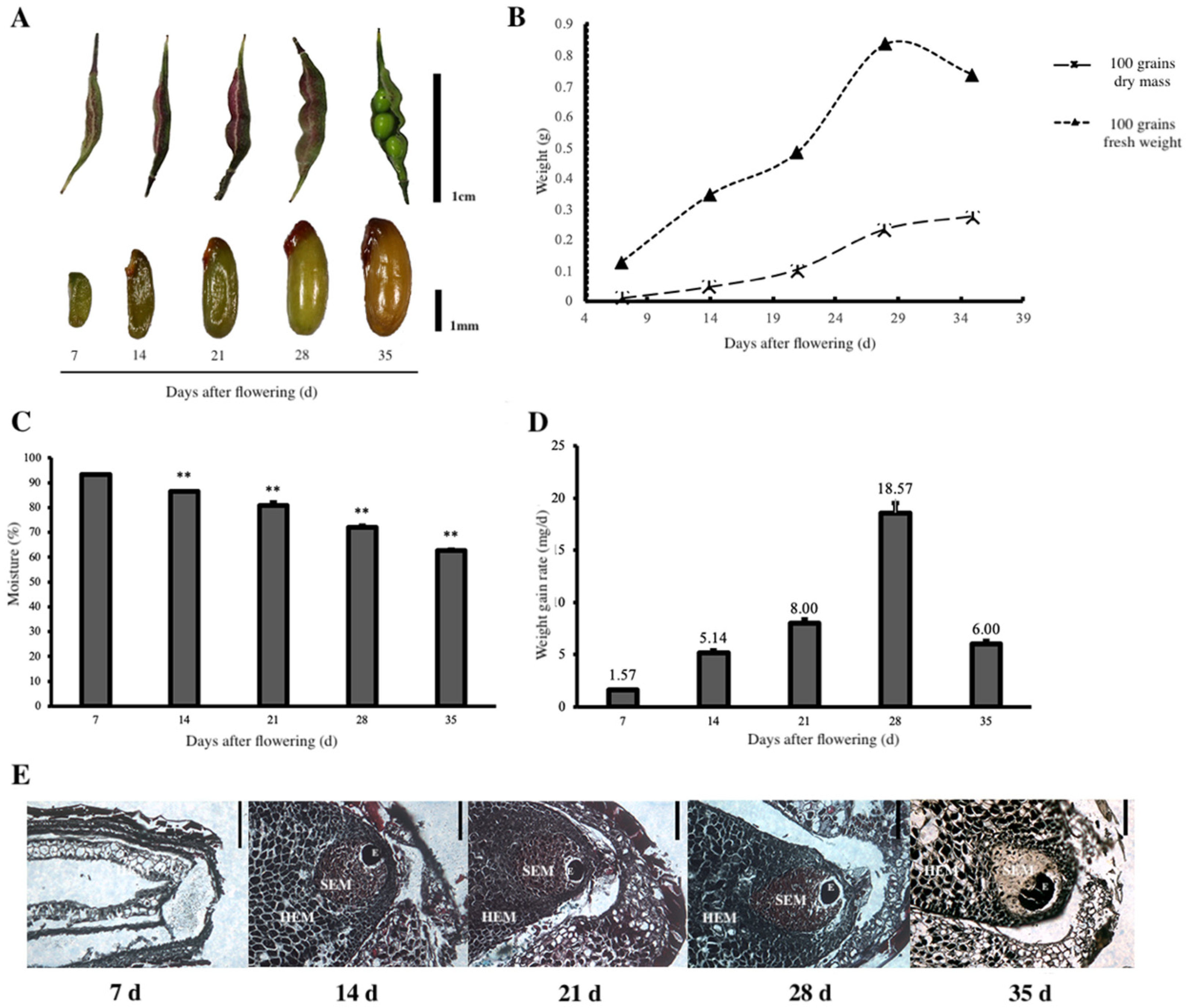 Plants 11 02399 g001