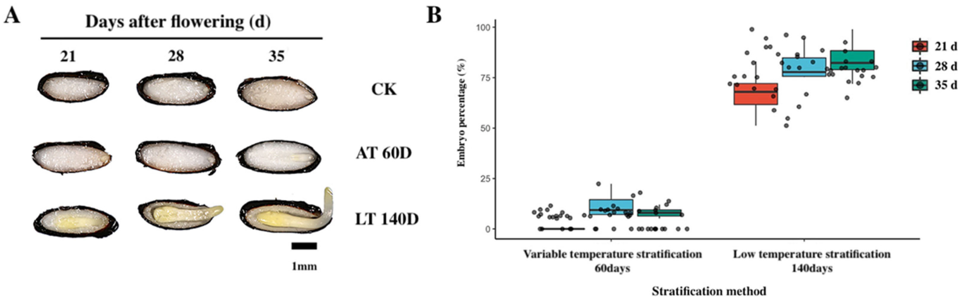 Plants 11 02399 g005