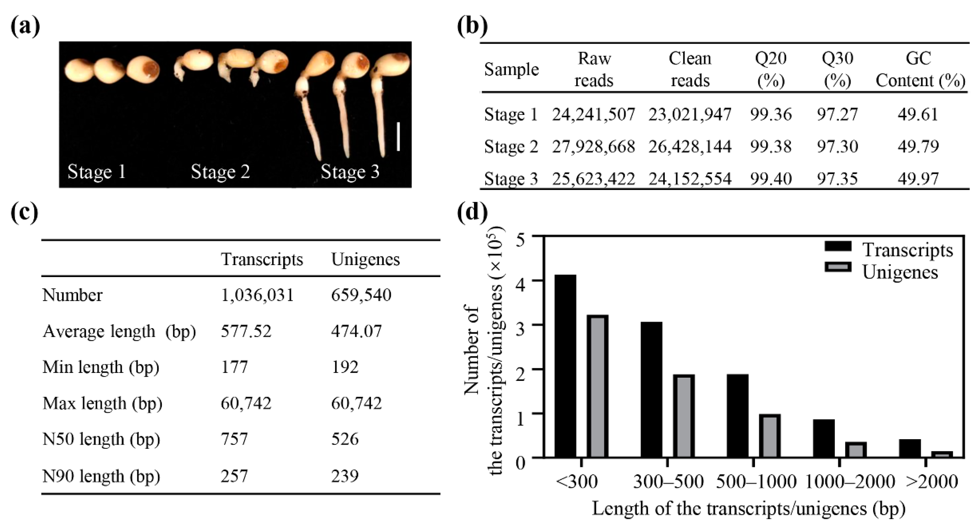 Plants 11 02400 g001