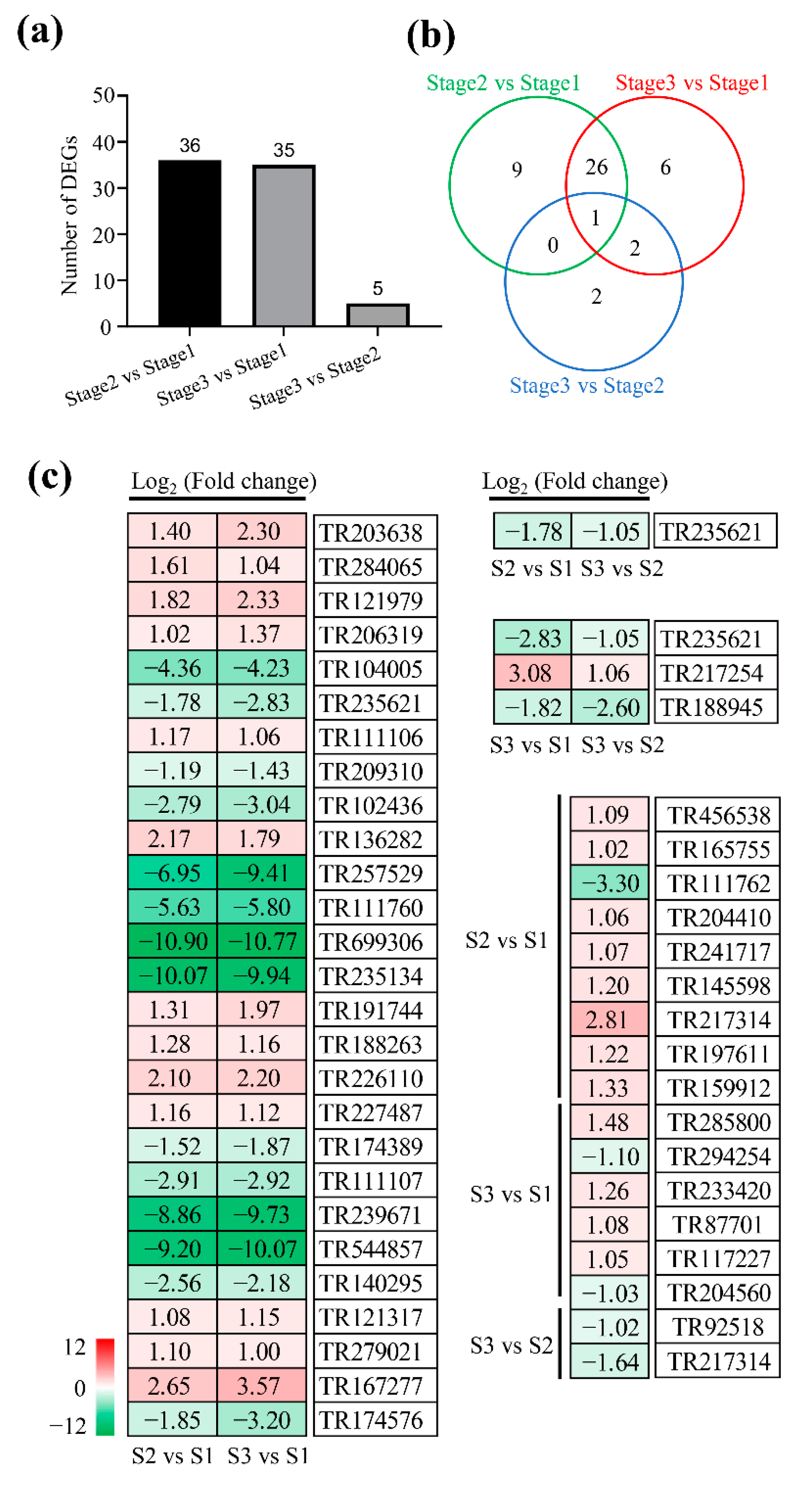 Plants 11 02400 g004