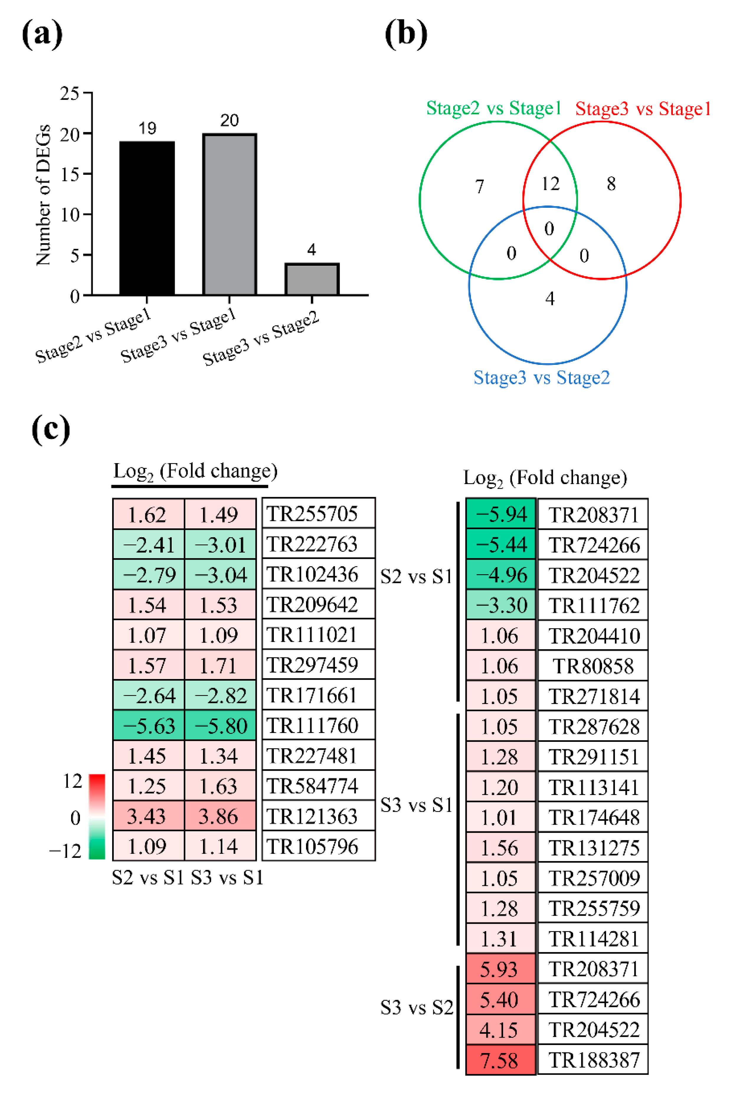 Plants 11 02400 g006