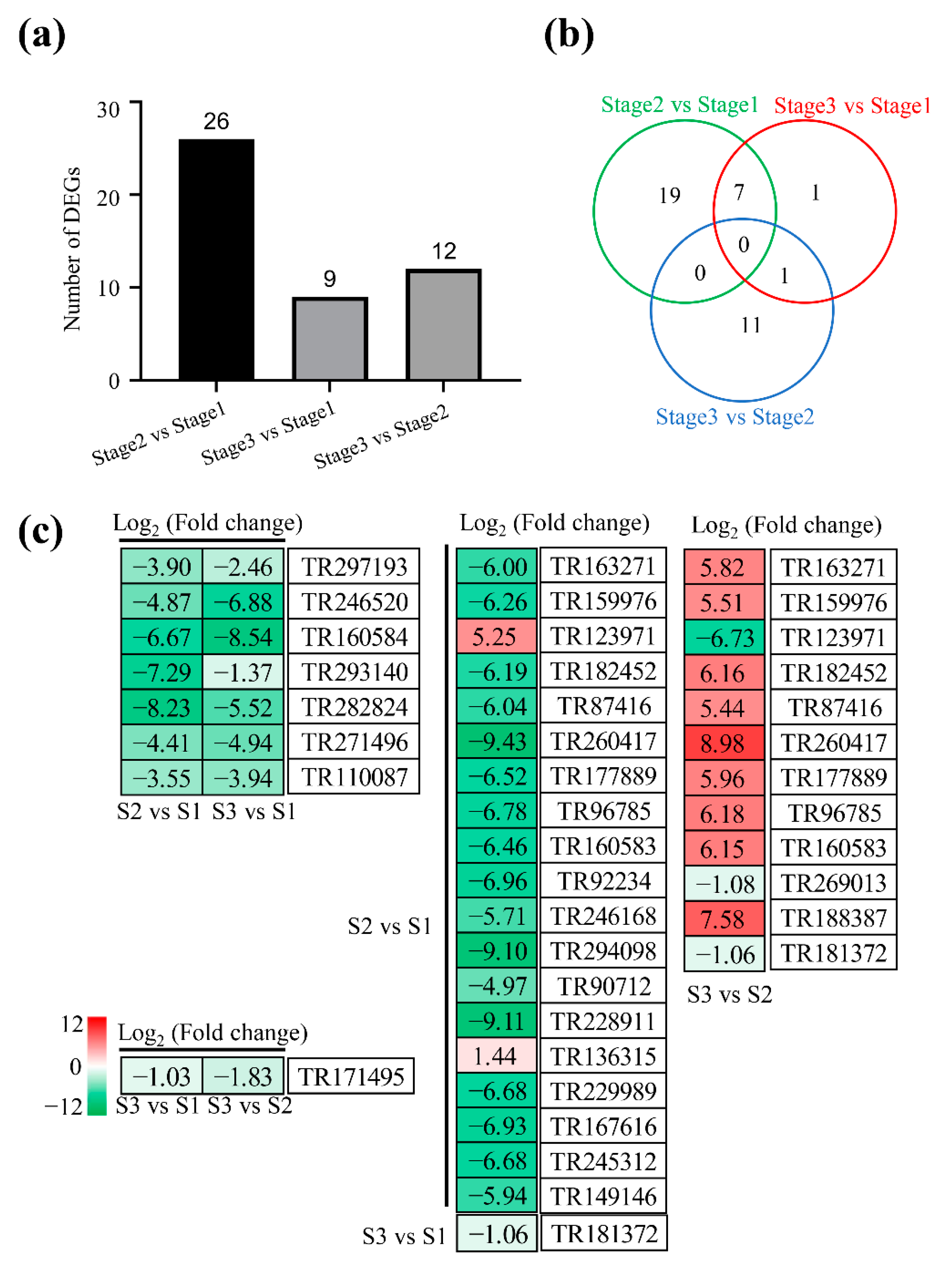 Plants 11 02400 g007