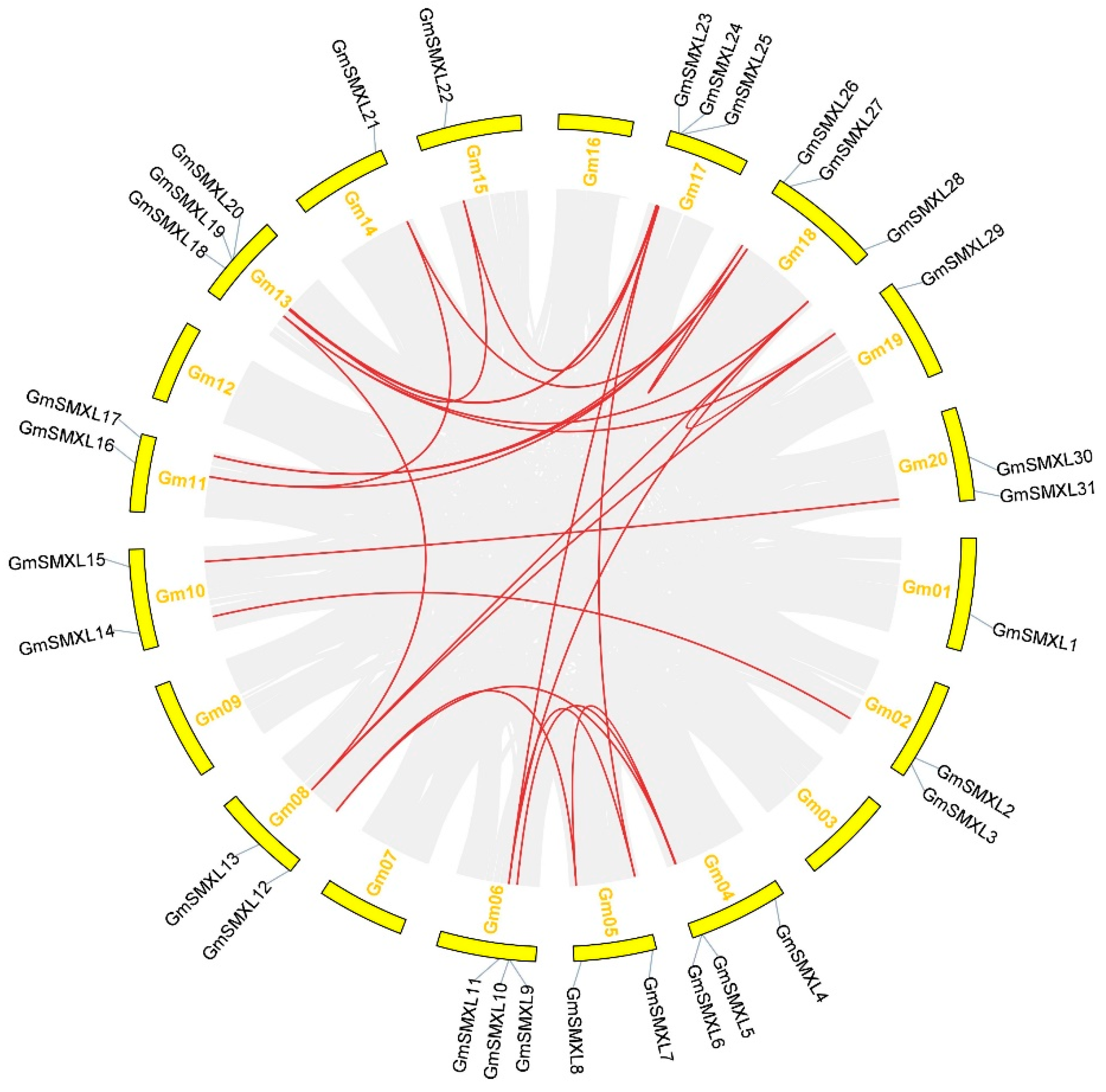 Plants 11 02410 g004 Plants 11 02410 g004