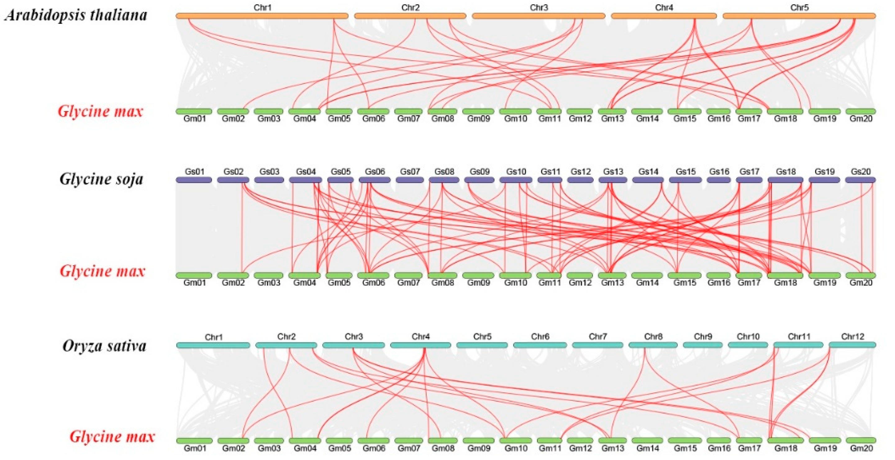 Plants 11 02410 g005 Plants 11 02410 g005
