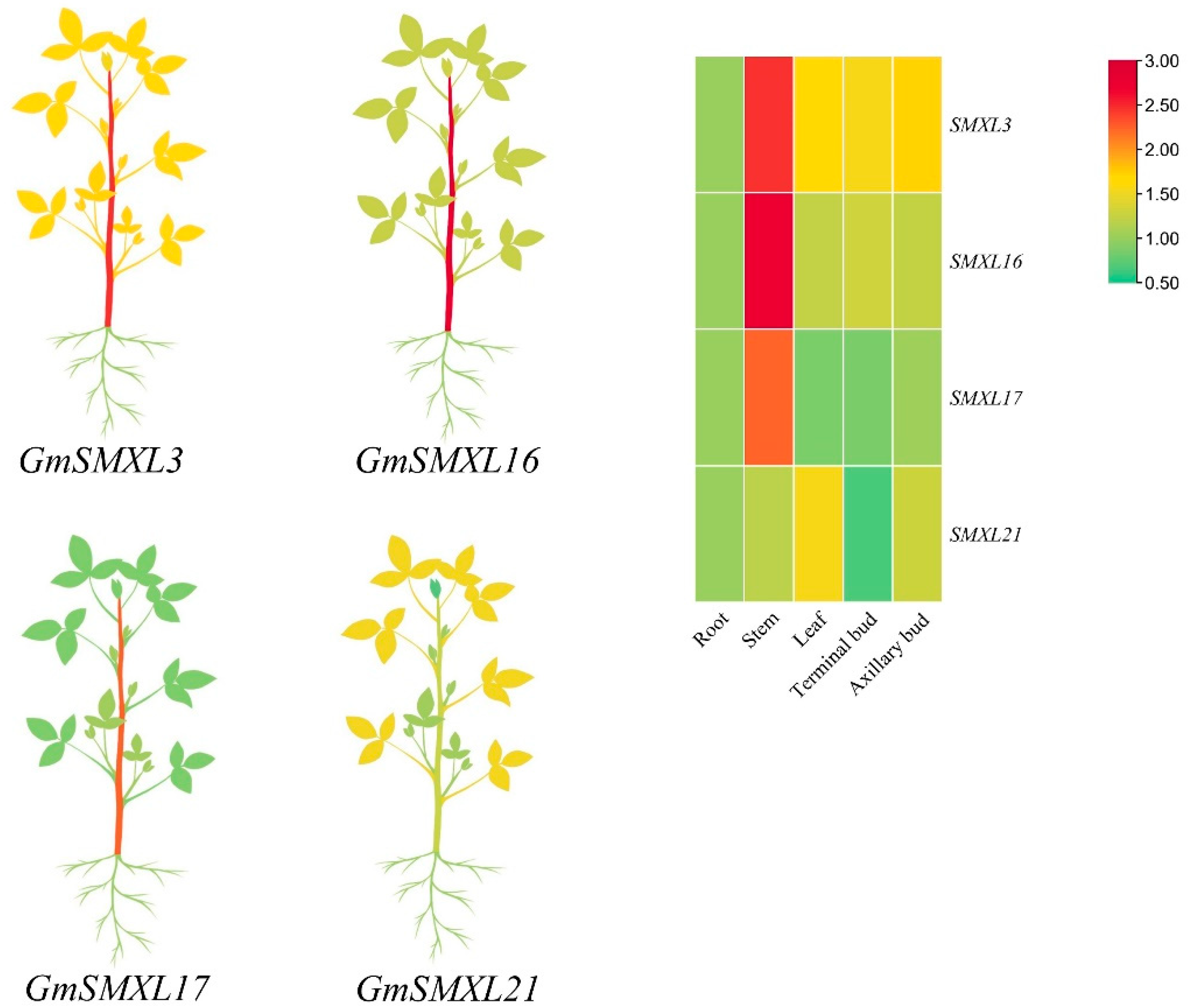 Plants 11 02410 g008 Plants 11 02410 g008