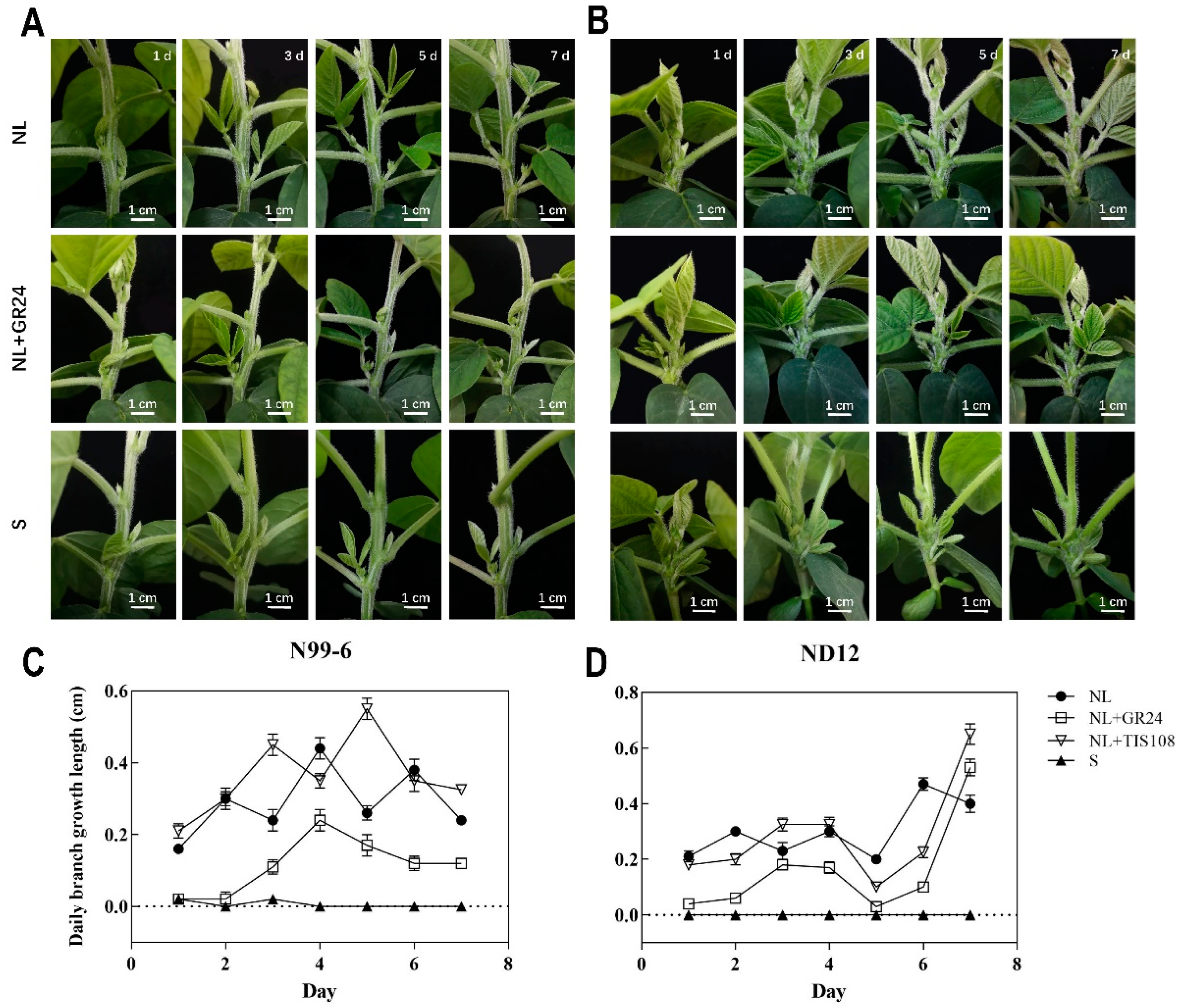 Plants 11 02410 g009 Plants 11 02410 g009