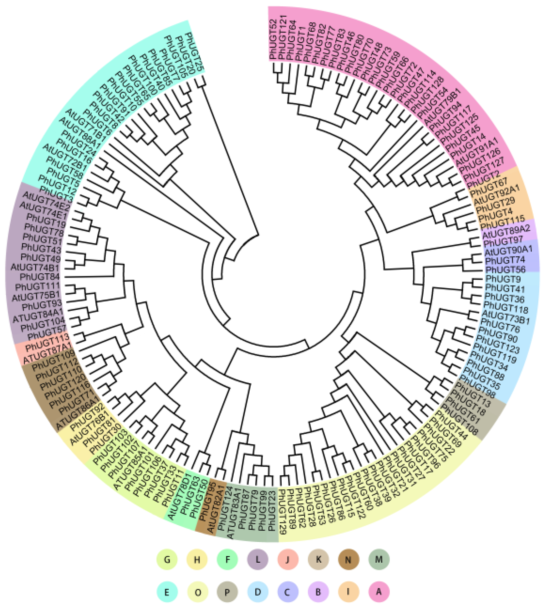 Plants 11 02434 g001
