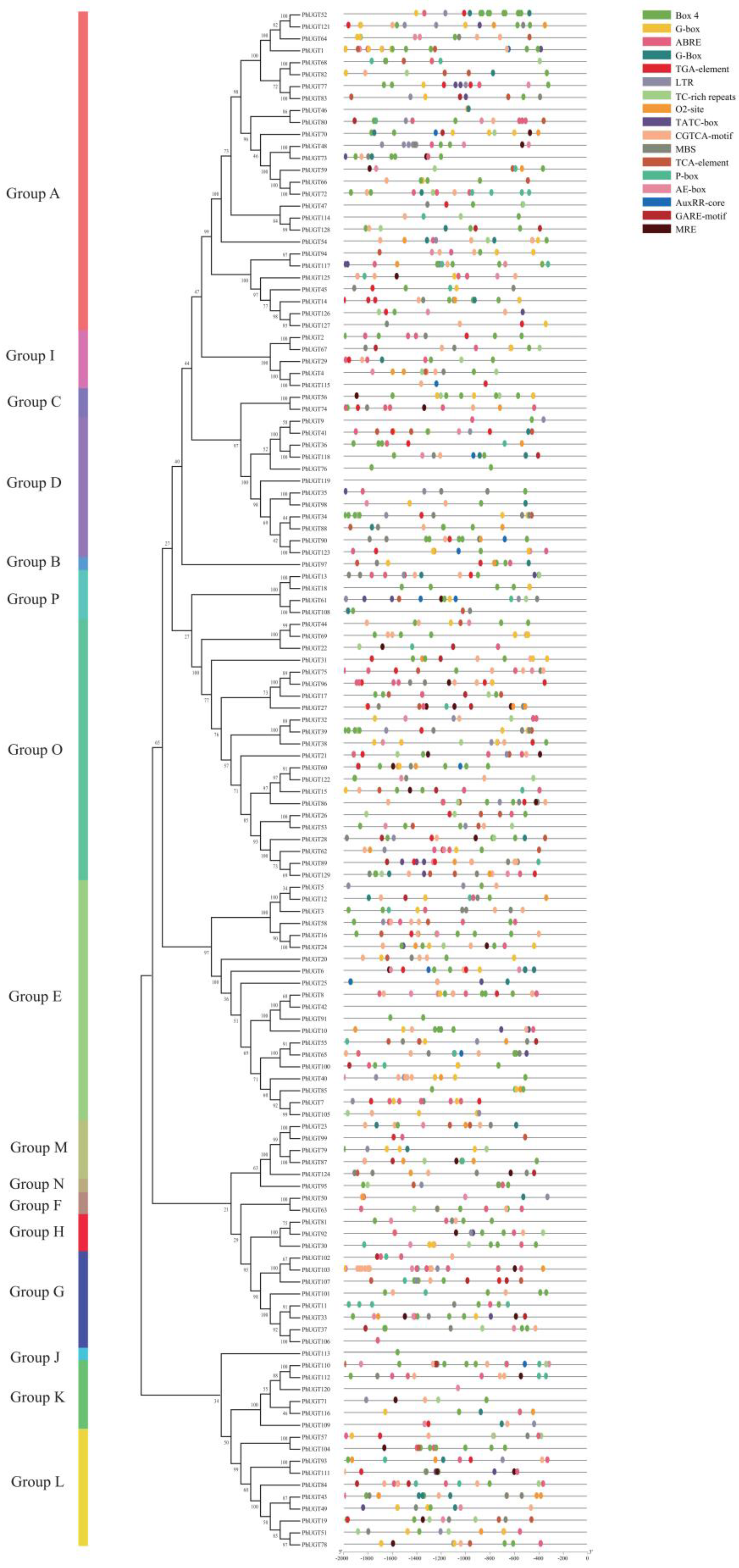 Plants 11 02434 g003
