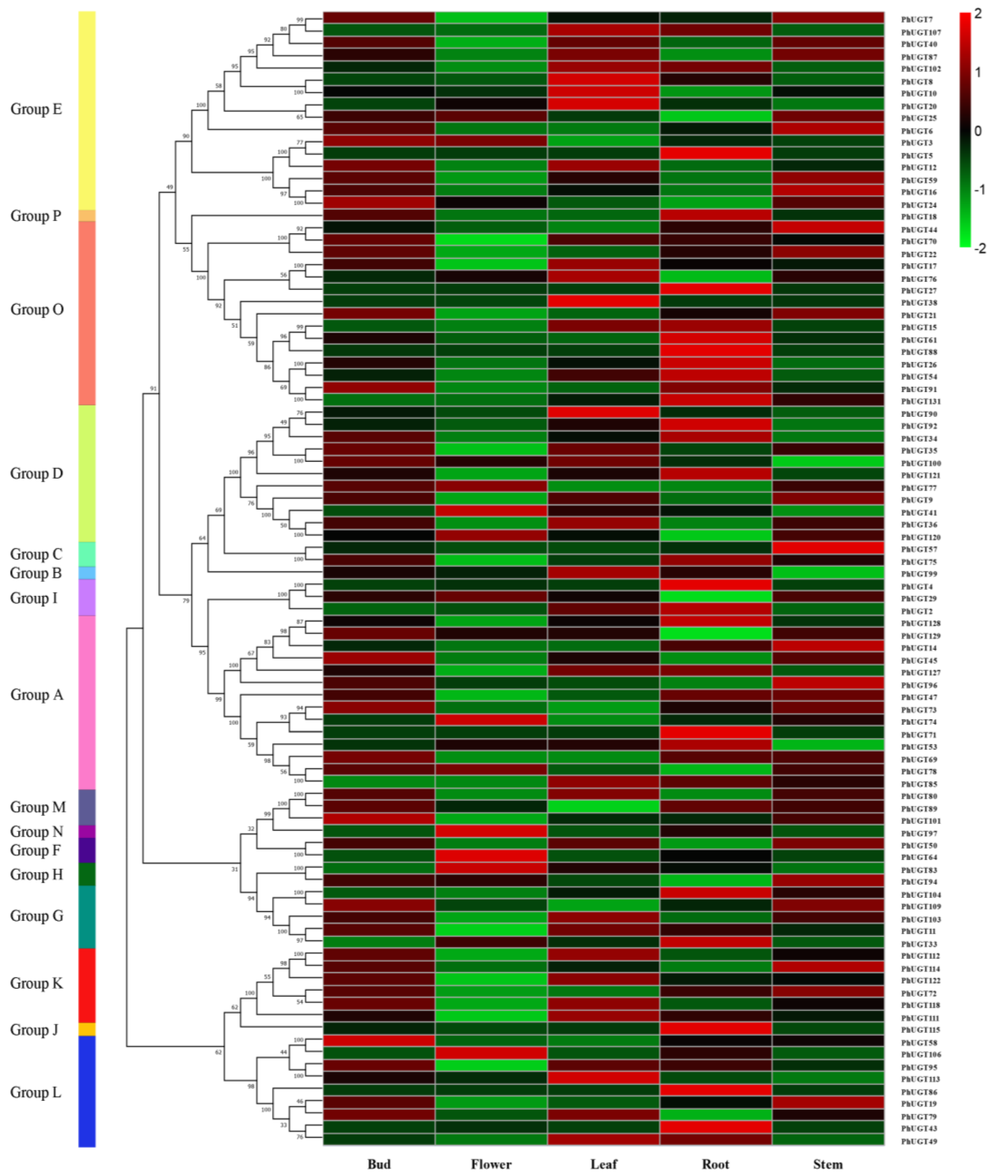 Plants 11 02434 g004