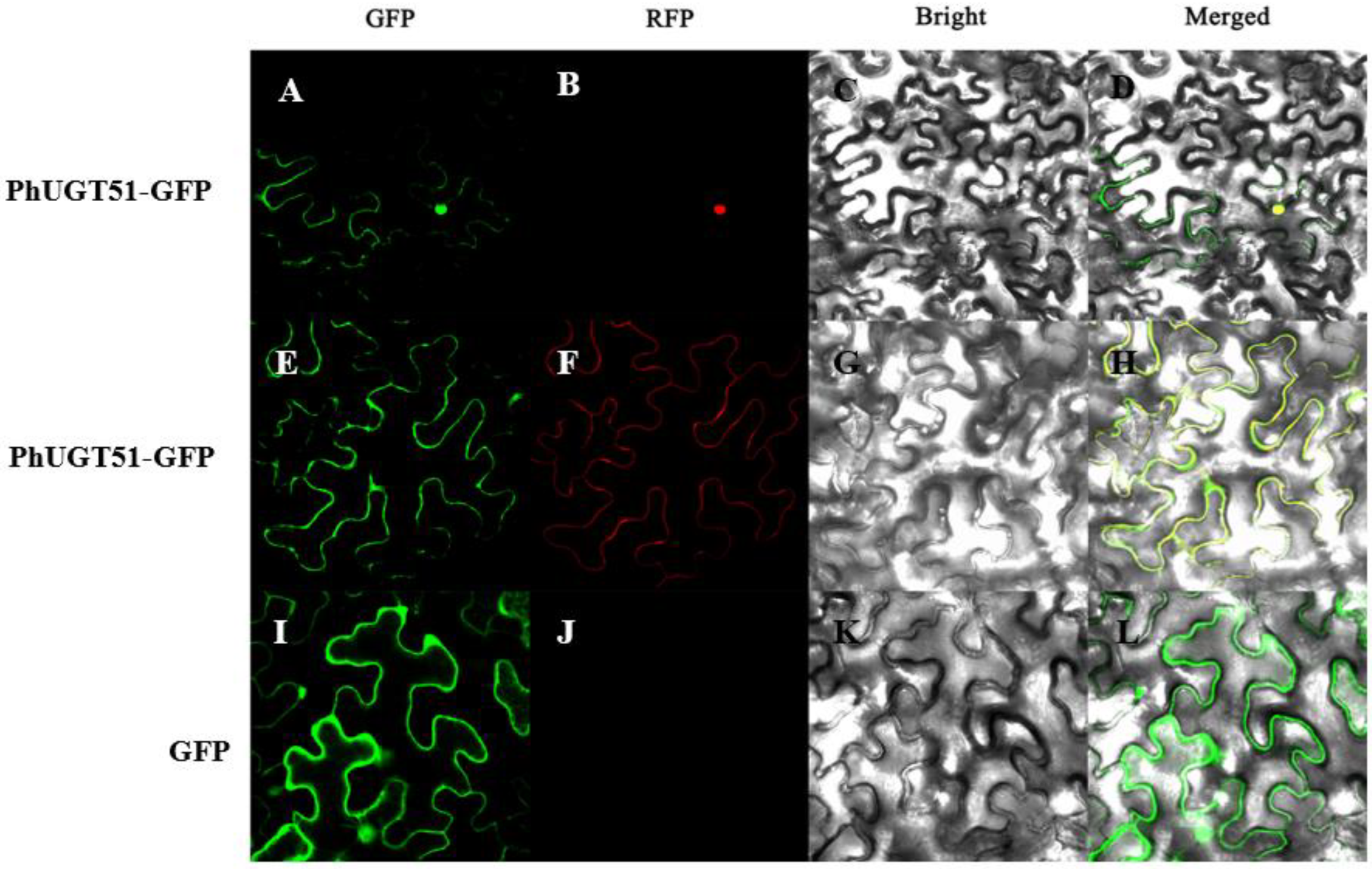 Plants 11 02434 g005
