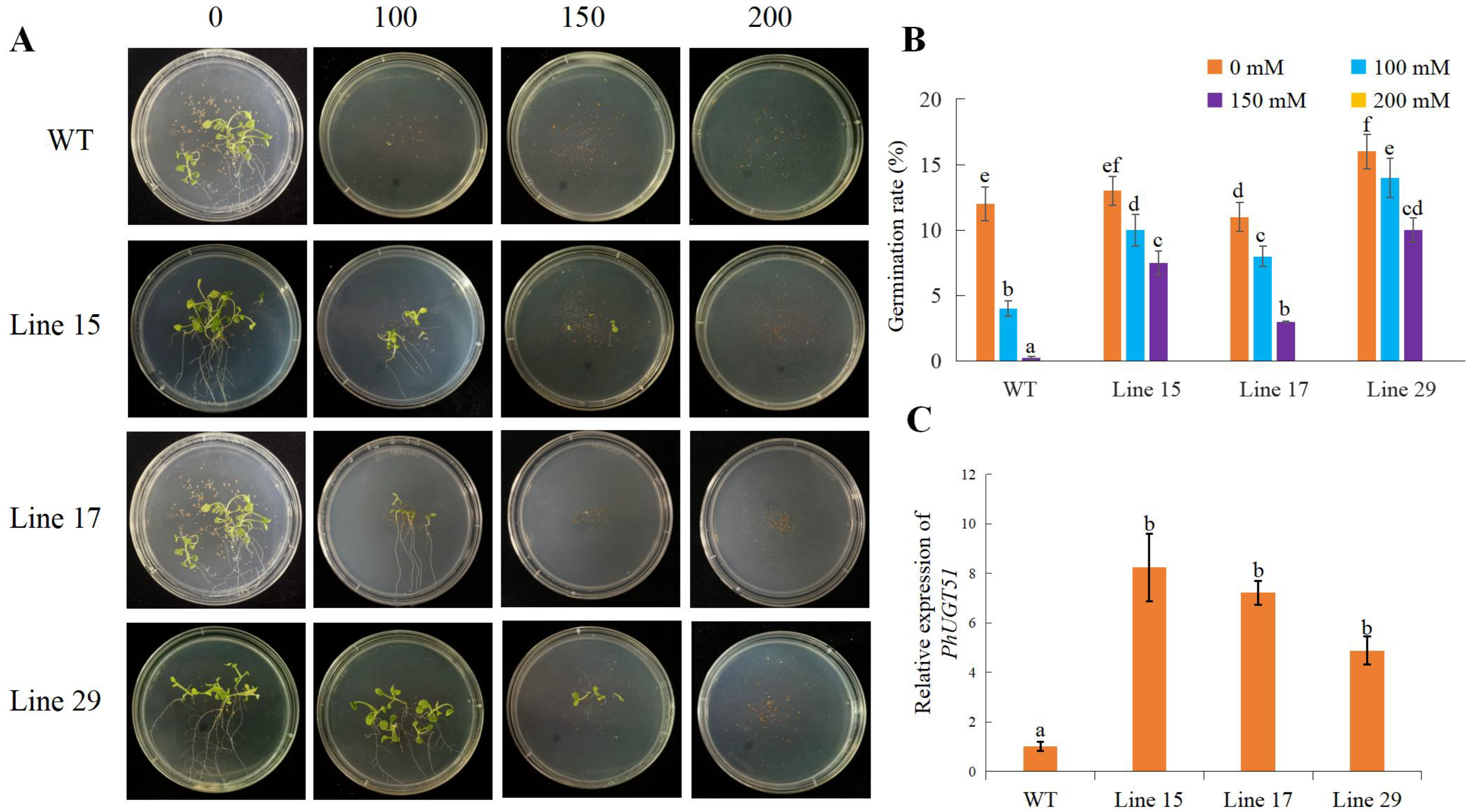 Plants 11 02434 g007