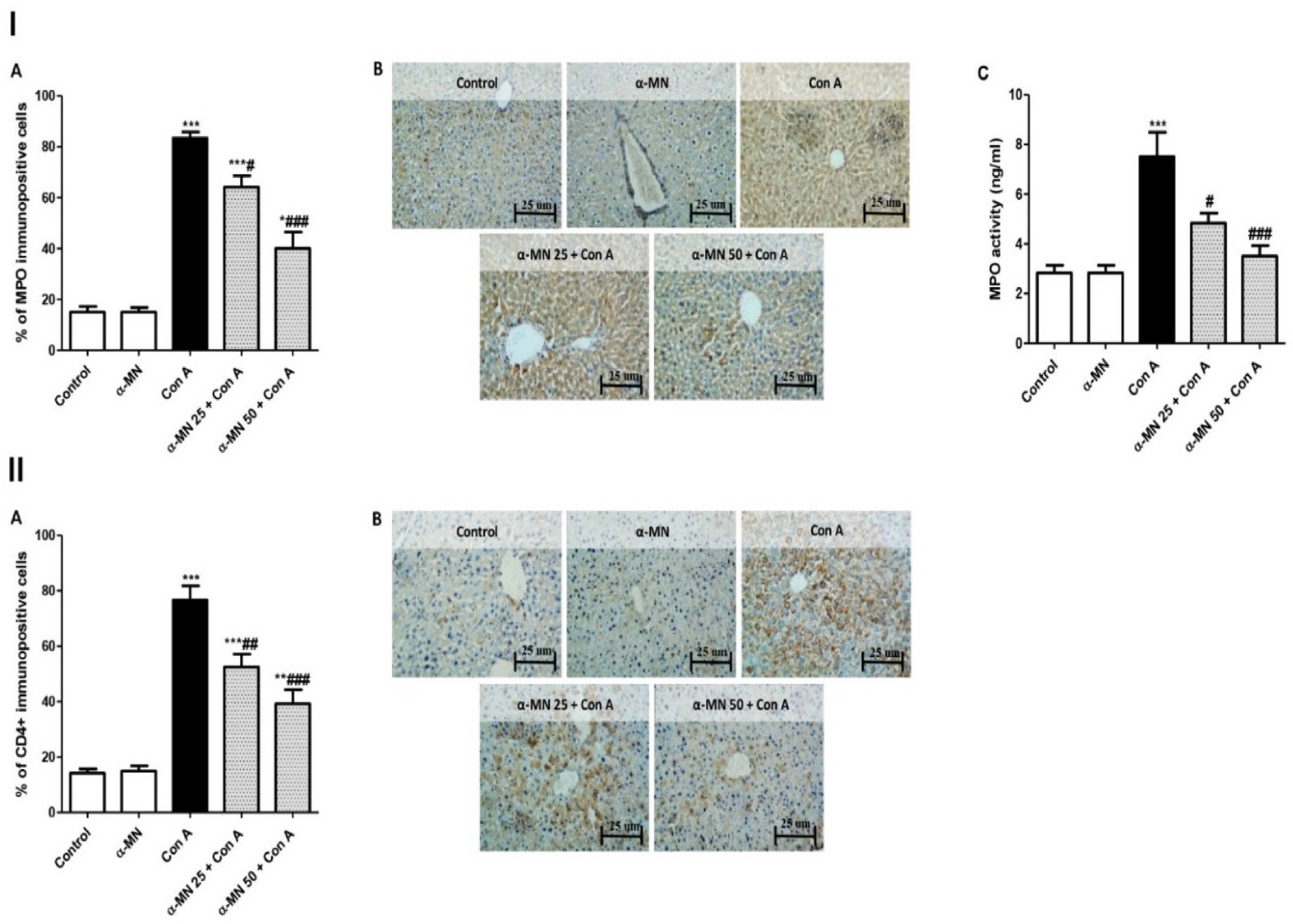 Plants 11 02441 g004