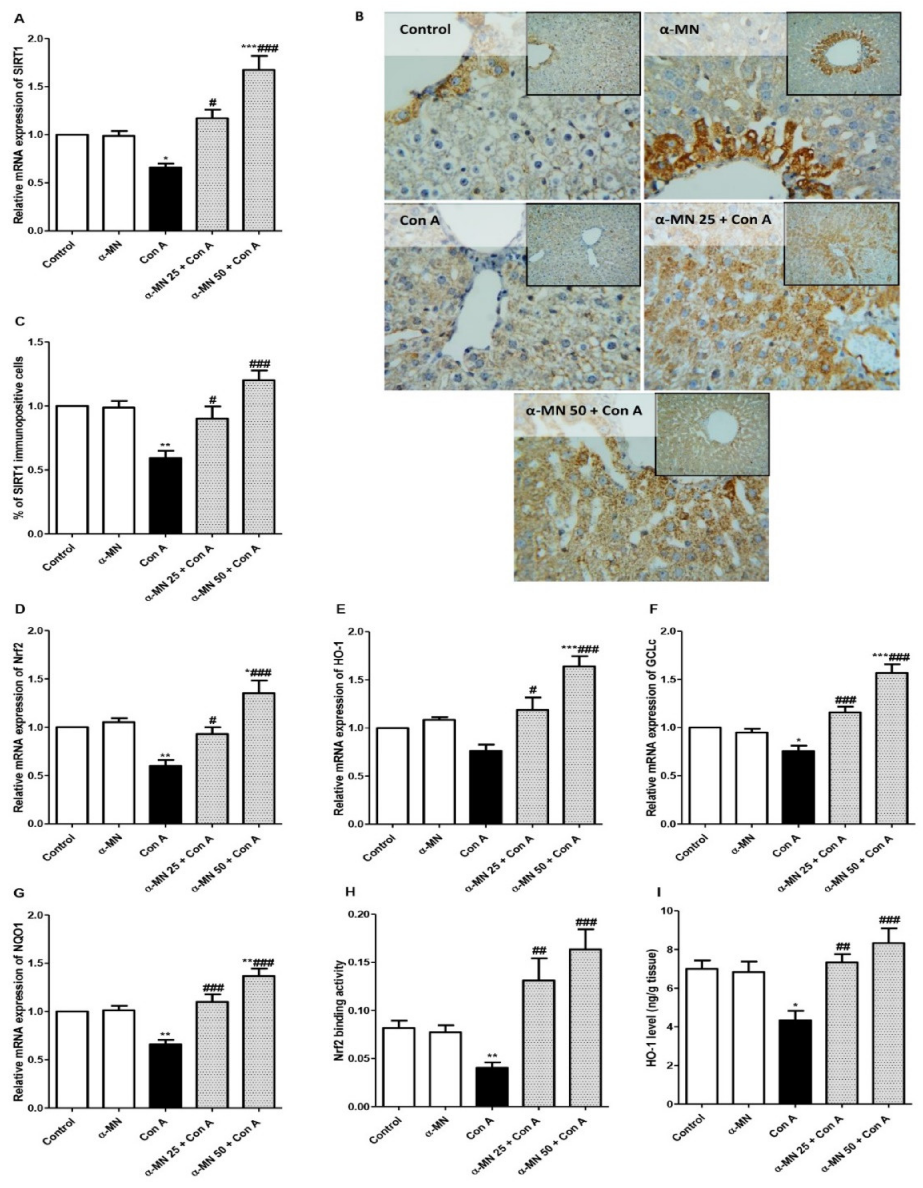 Plants 11 02441 g006