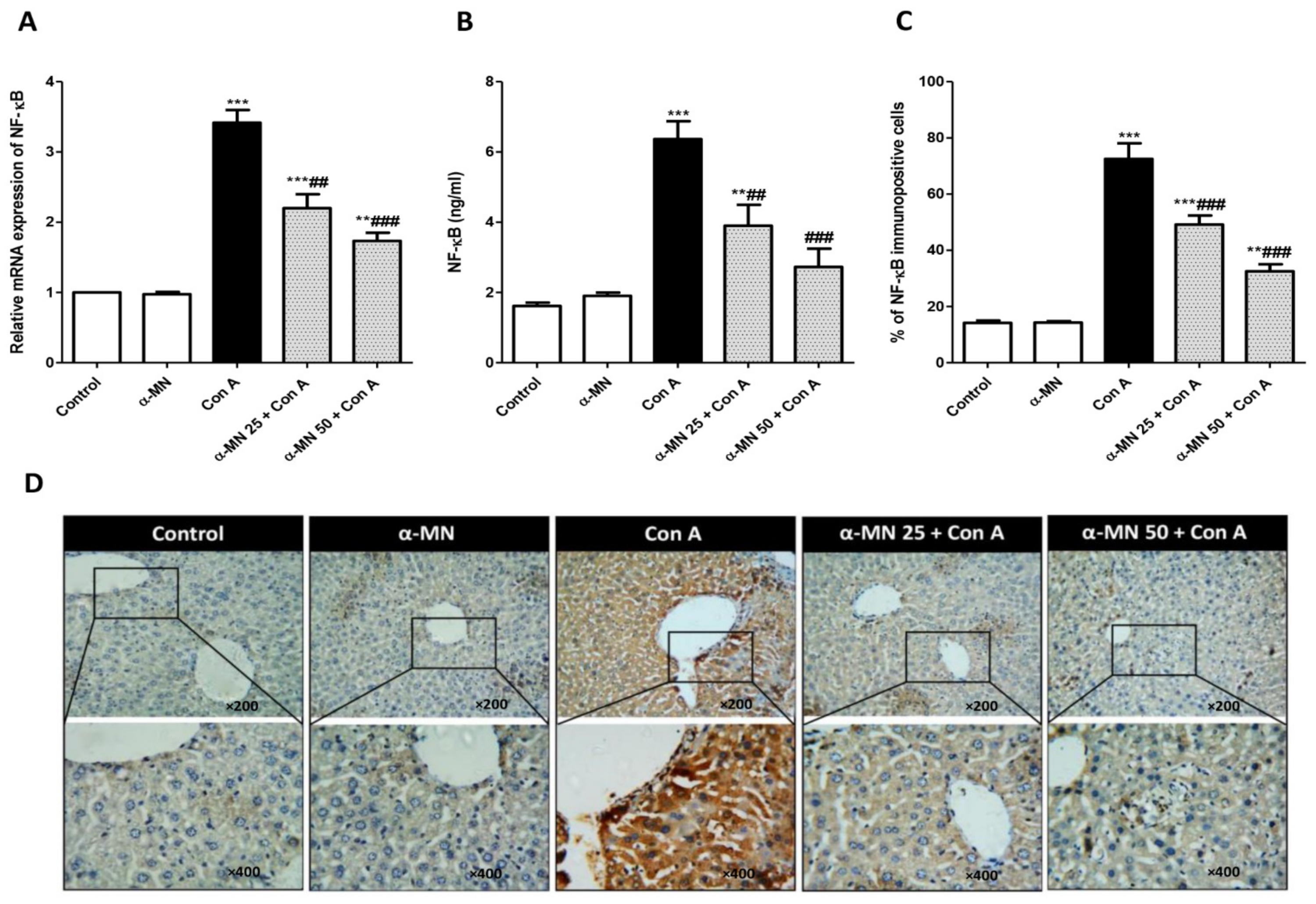 Plants 11 02441 g007