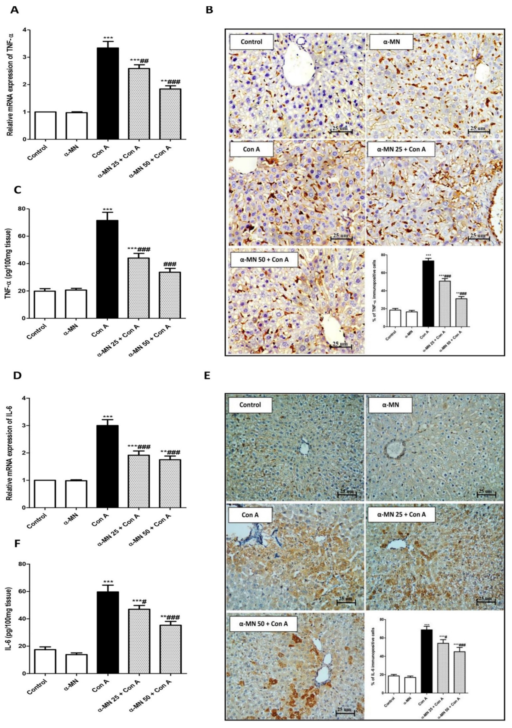 Plants 11 02441 g008