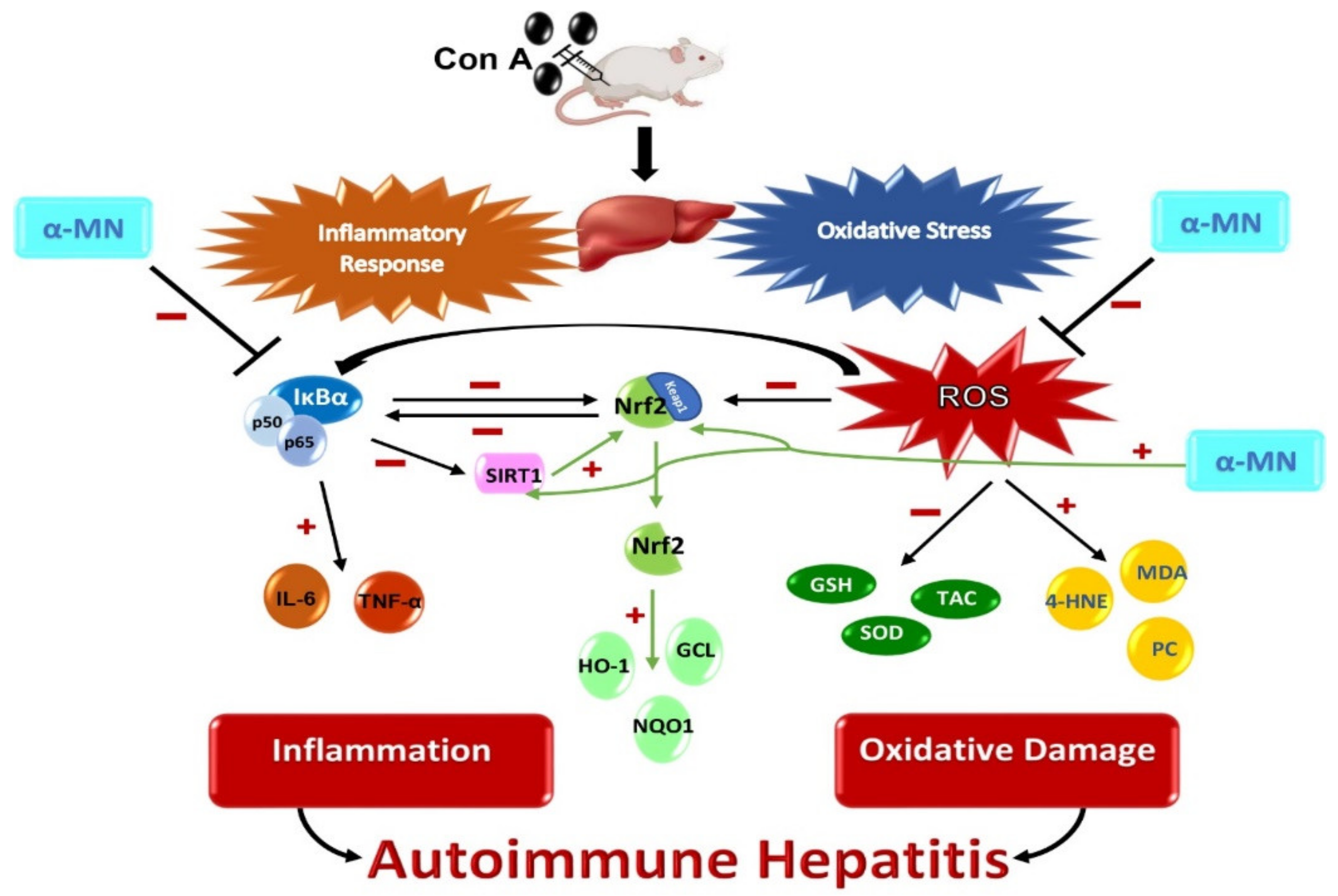 Plants 11 02441 g009