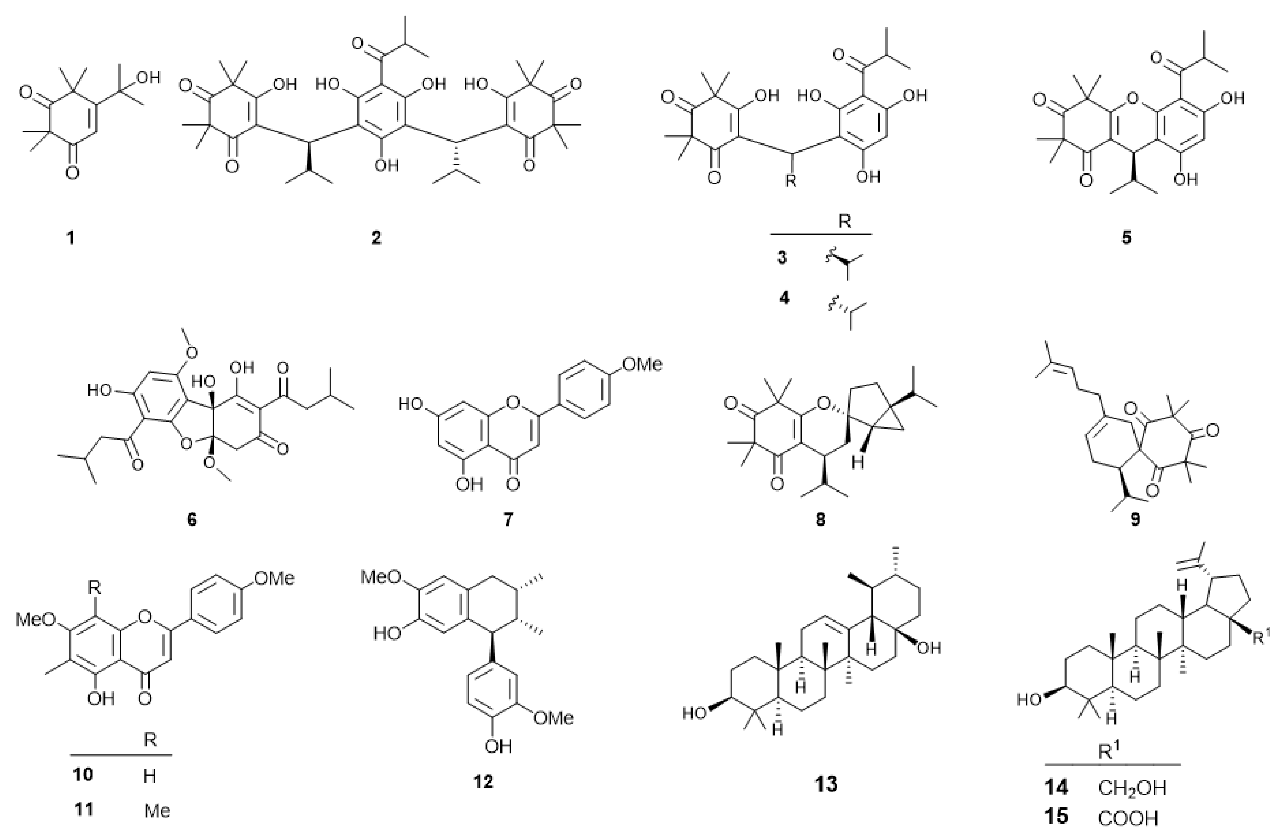 Plants 11 02466 g001 Plants 11 02466 g001