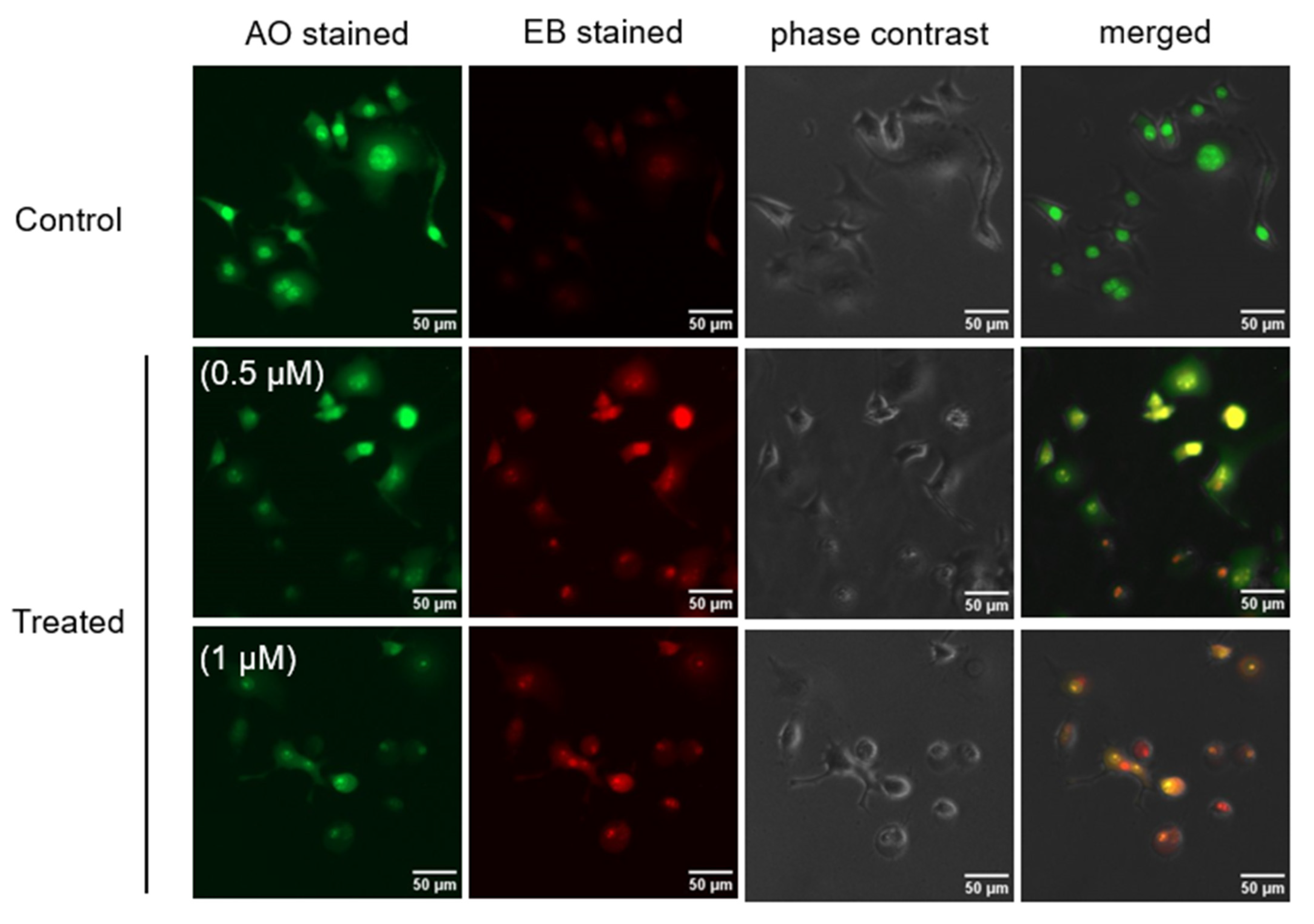 Plants 11 02466 g004 Plants 11 02466 g004
