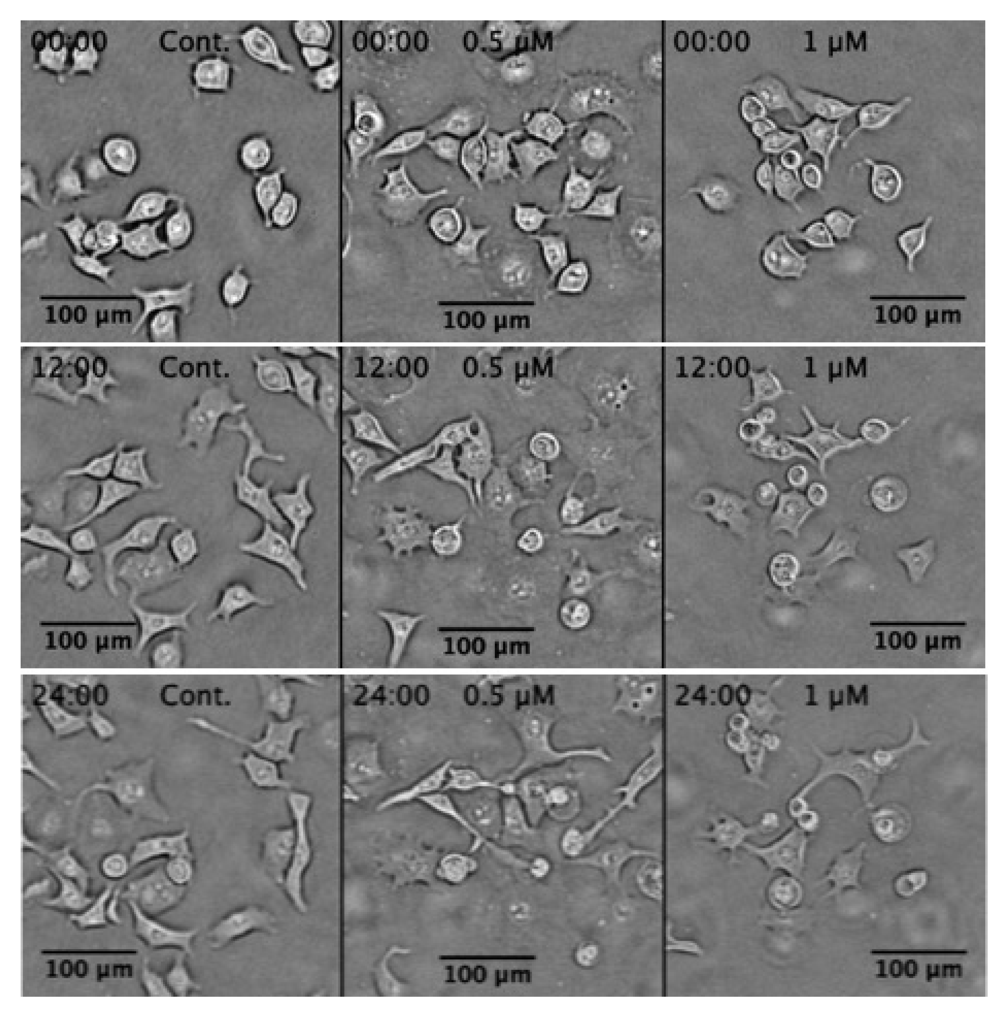 Plants 11 02466 g005 Plants 11 02466 g005