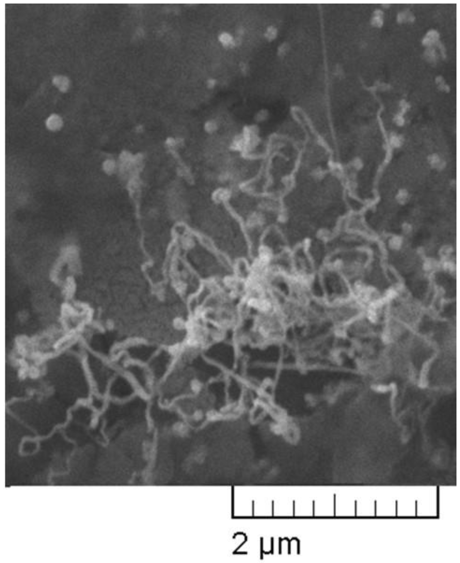 Plants 11 02468 g003