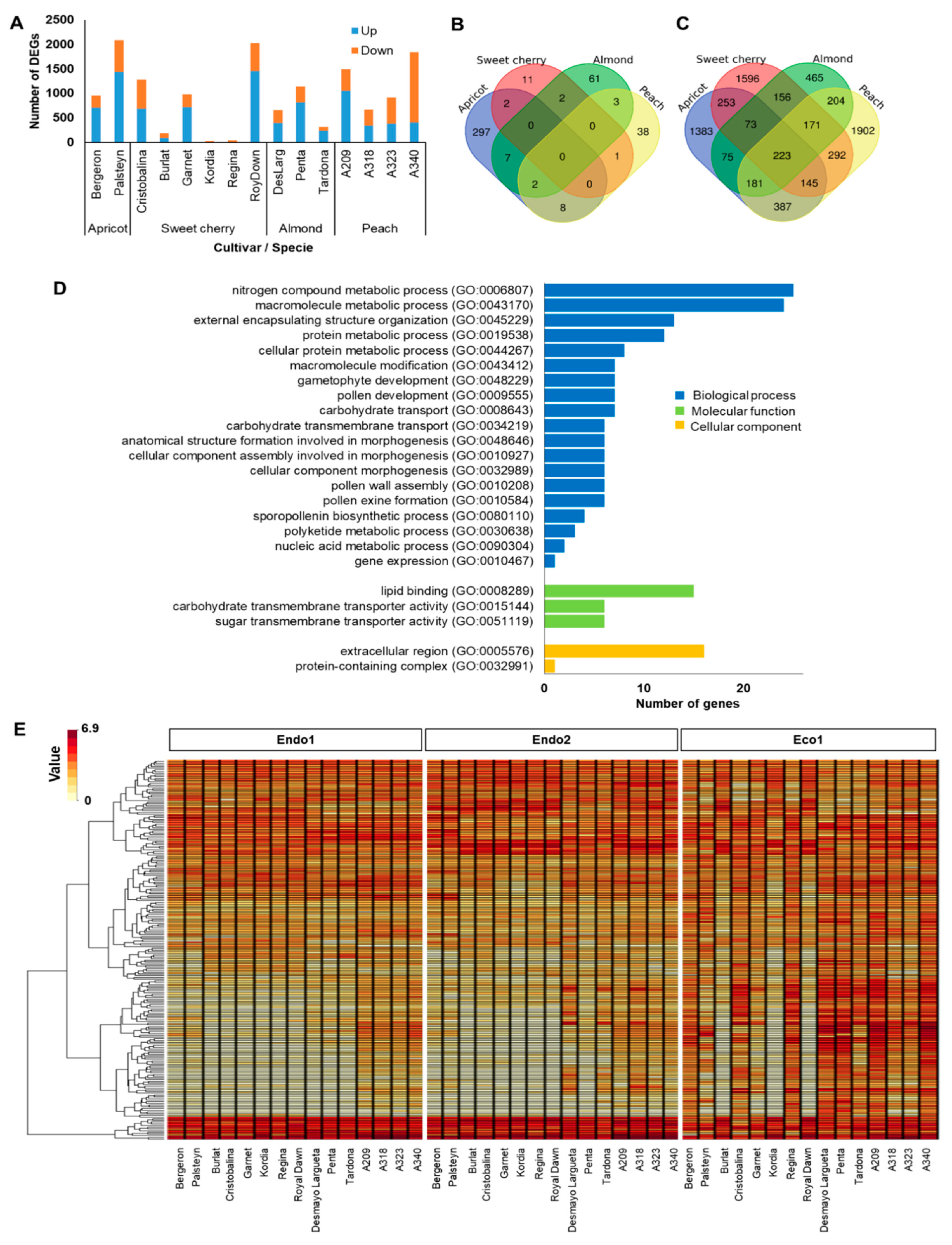 Plants 11 02469 g002 Plants 11 02469 g002