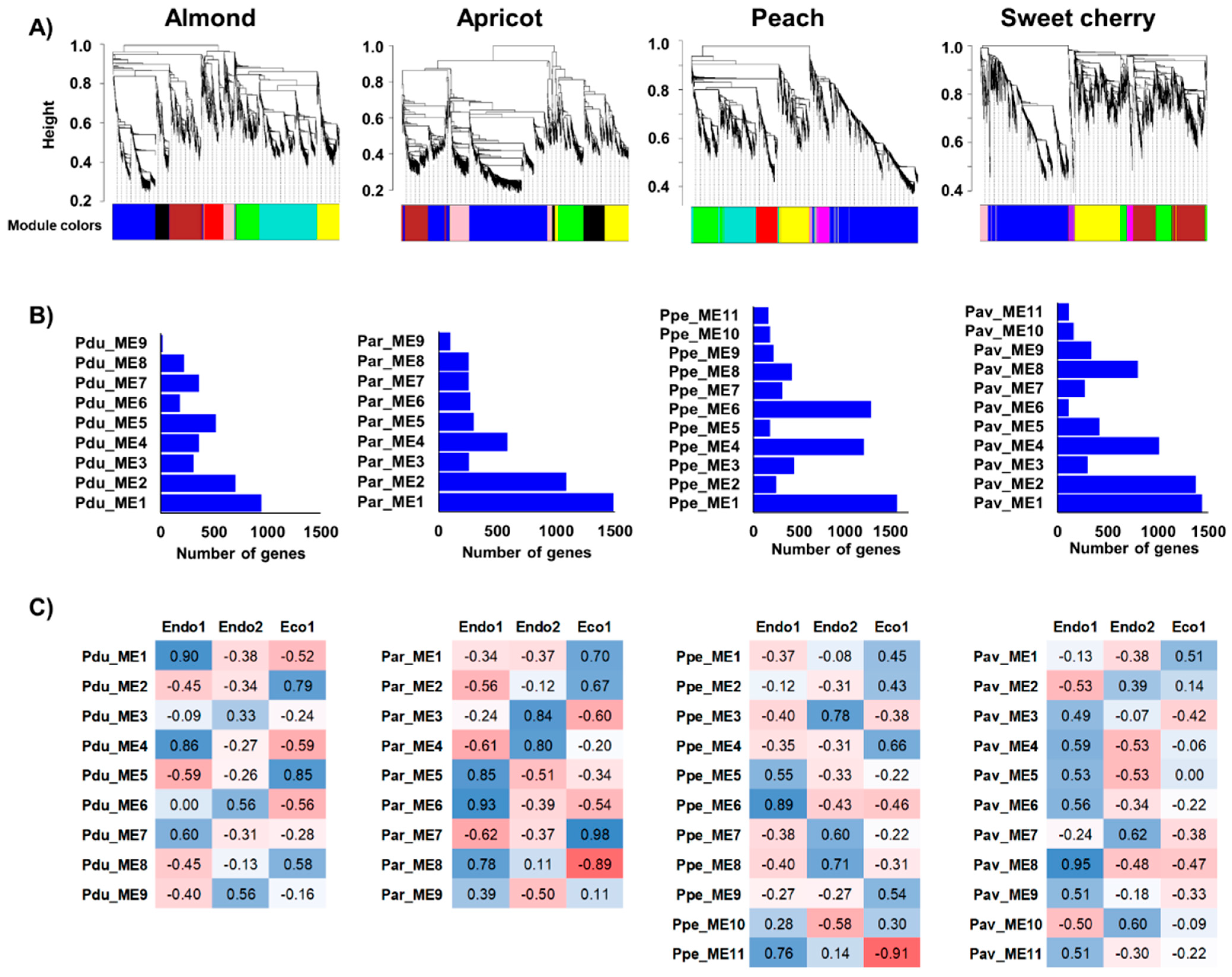 Plants 11 02469 g003 Plants 11 02469 g003