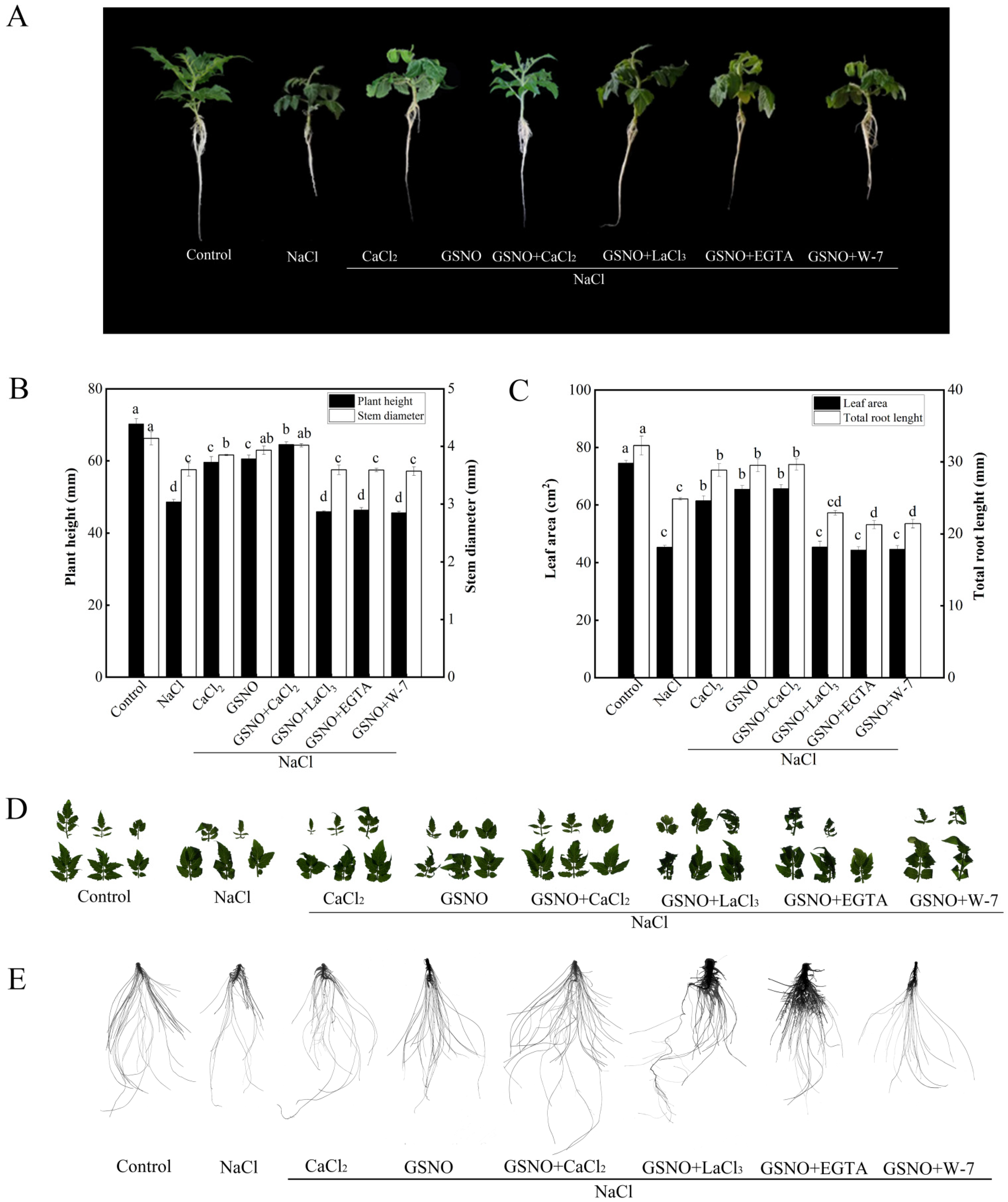 Plants 11 02479 g002