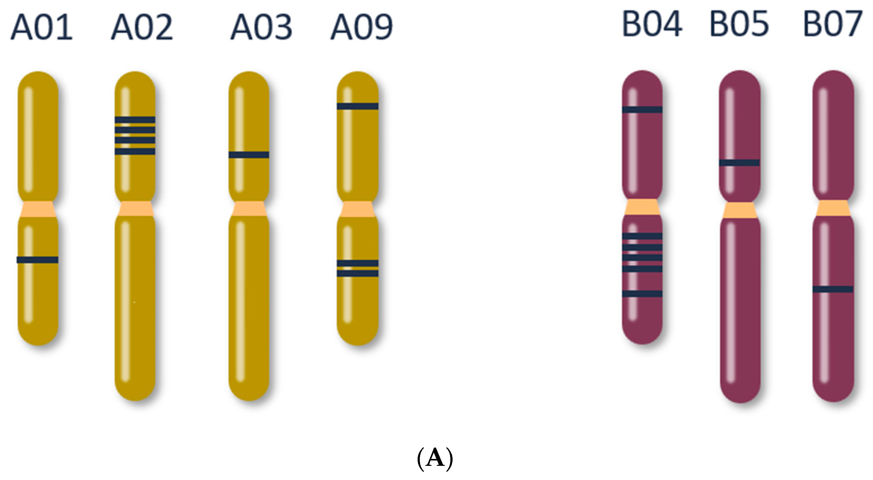 Plants 11 02494 g003a