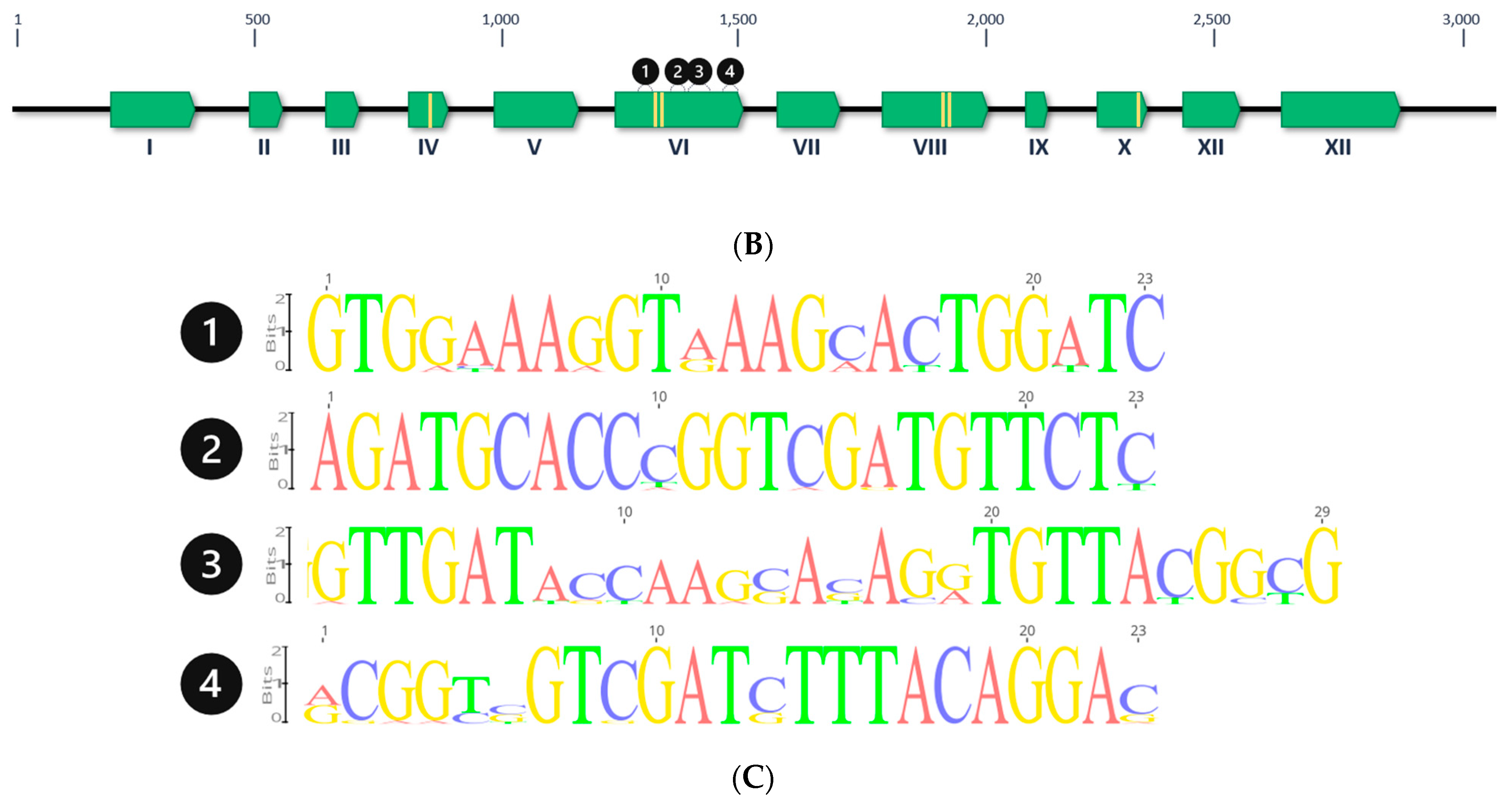 Plants 11 02494 g003b