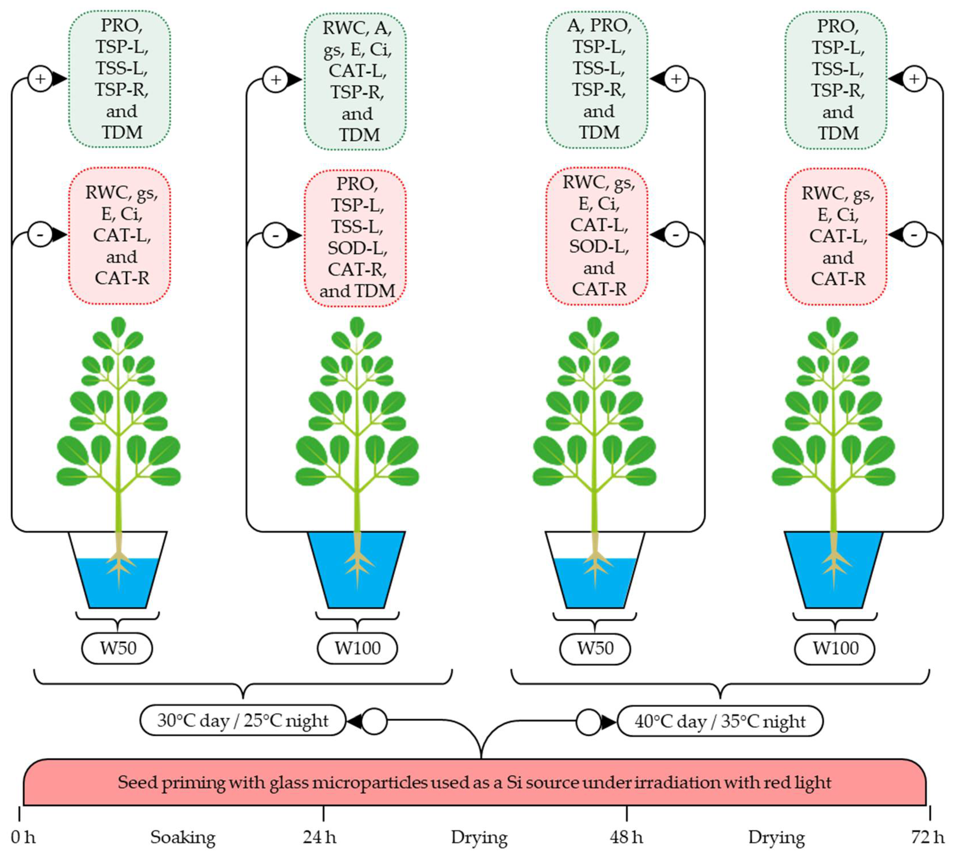 Plants 11 02510 g004